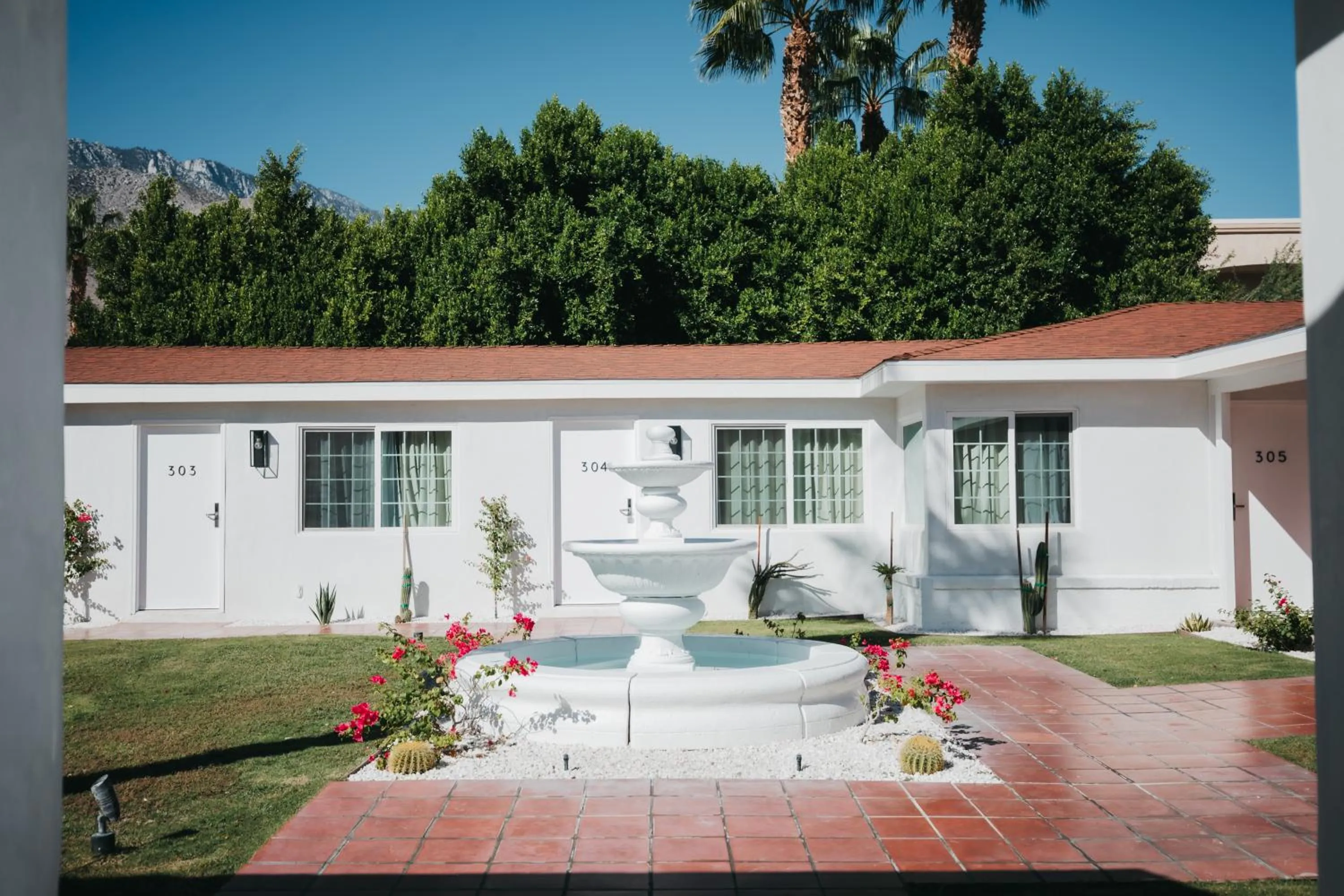 Garden in Casa Palma Hotel & Bungalows