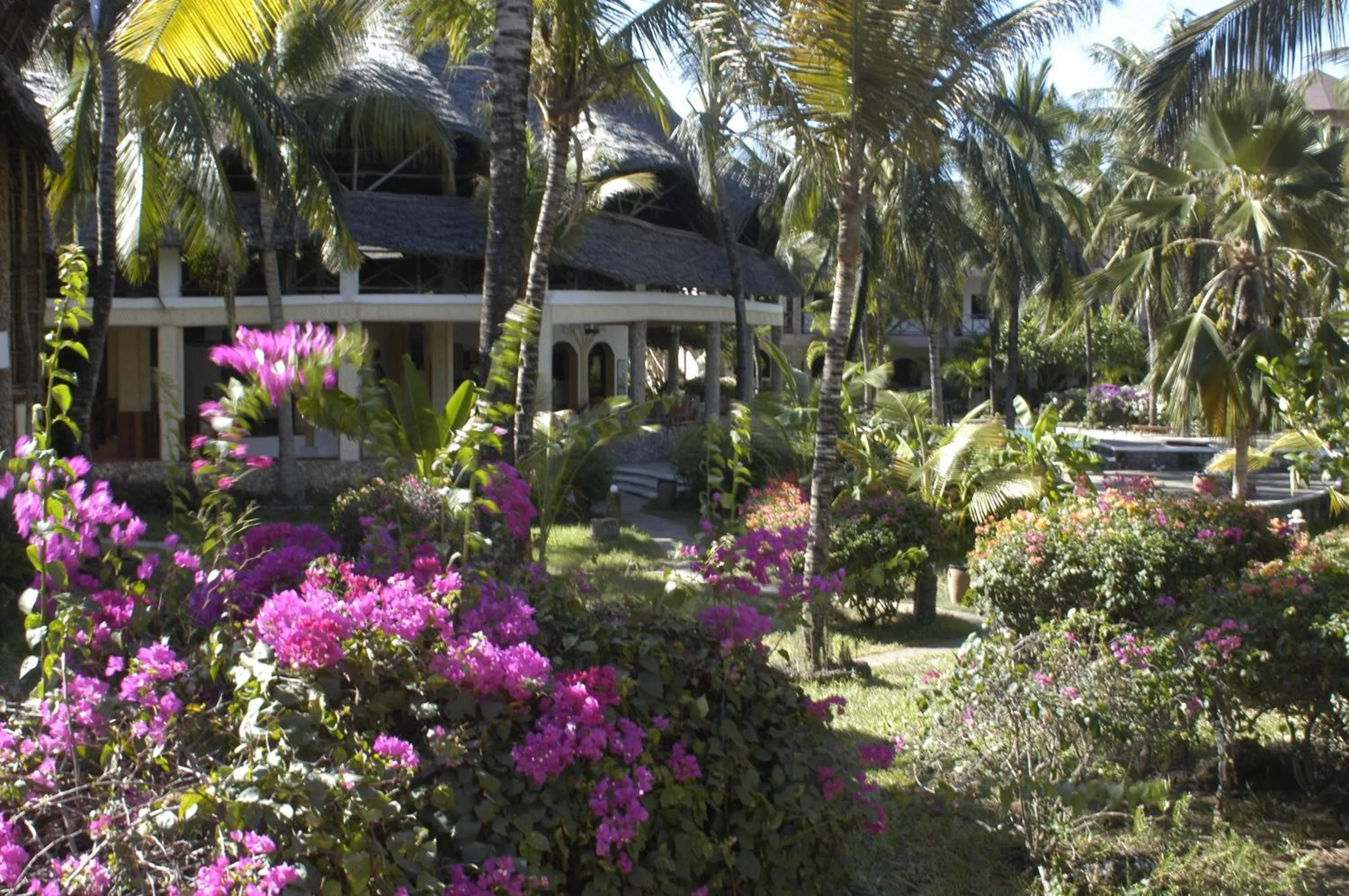 Restaurant/places to eat in Aquarius Club