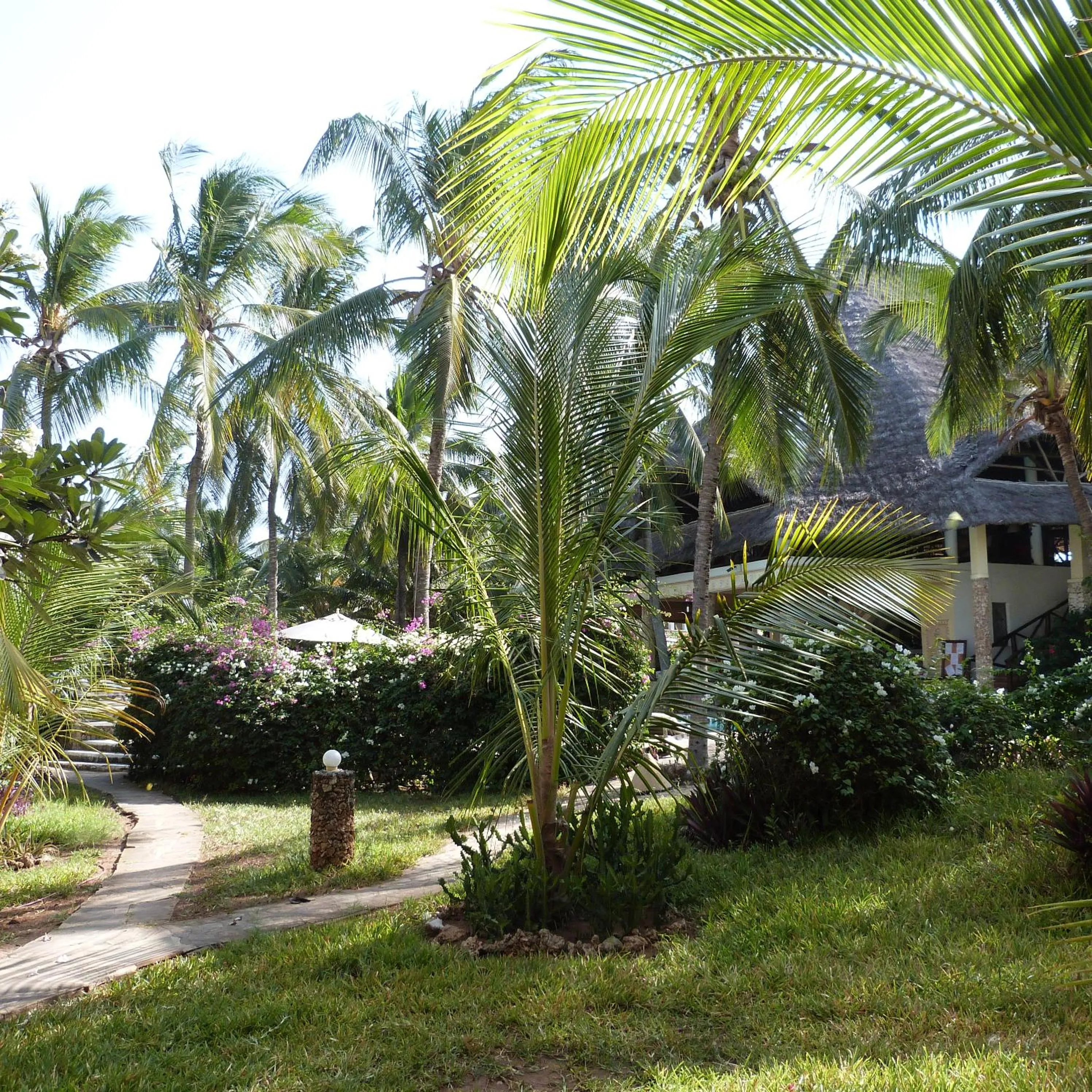 Garden view in Aquarius Club