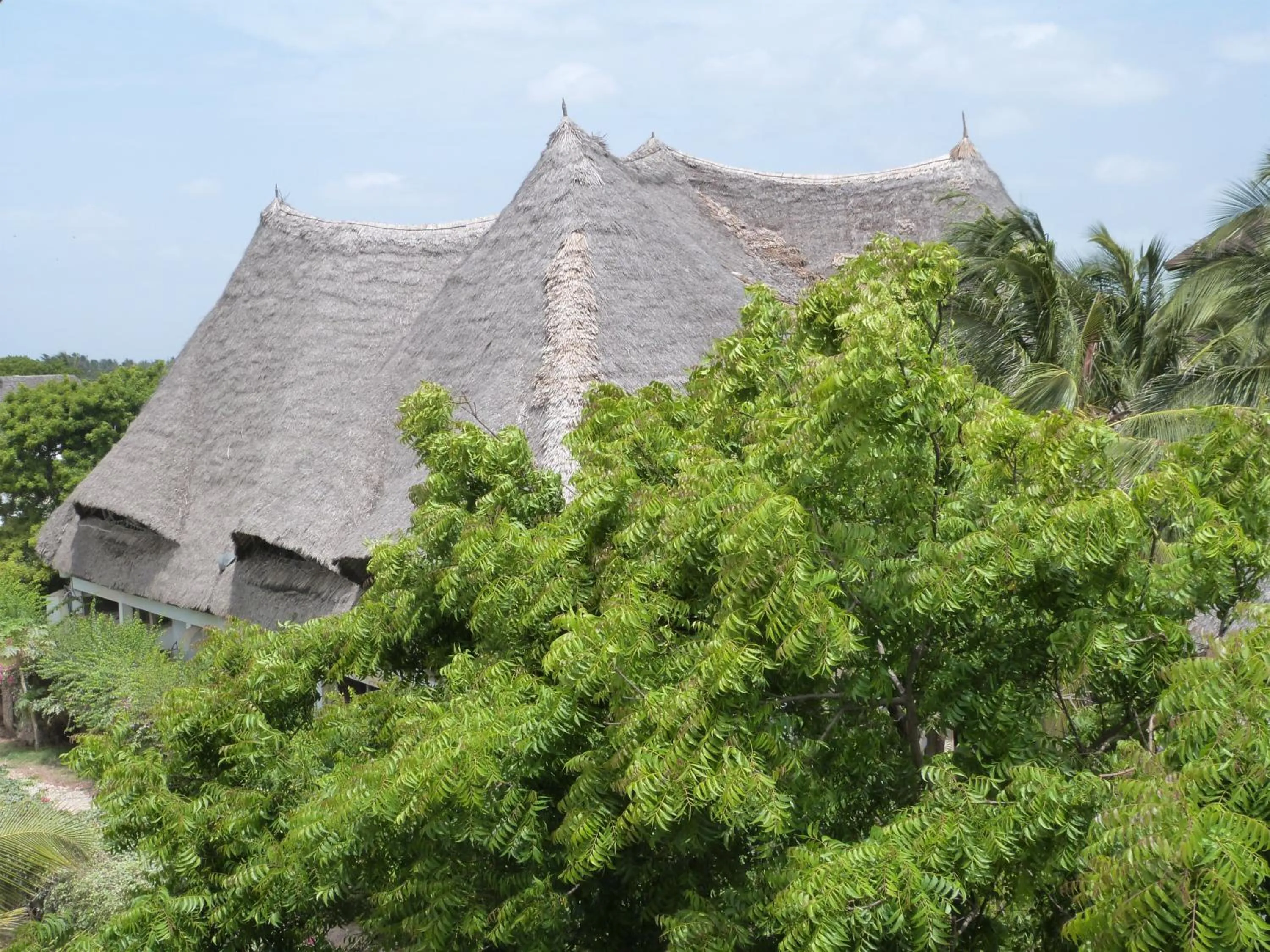 Bird's eye view in Aquarius Club