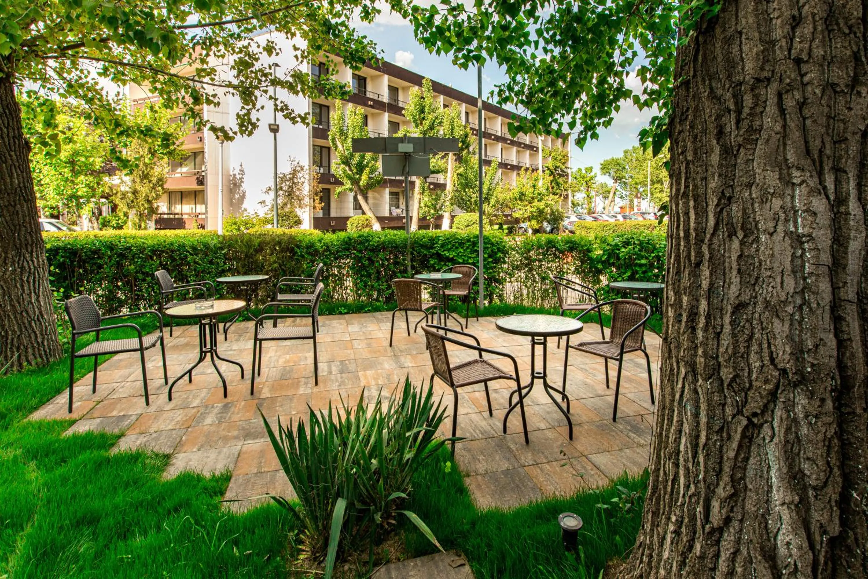 Restaurant/places to eat in Hotel Apollo