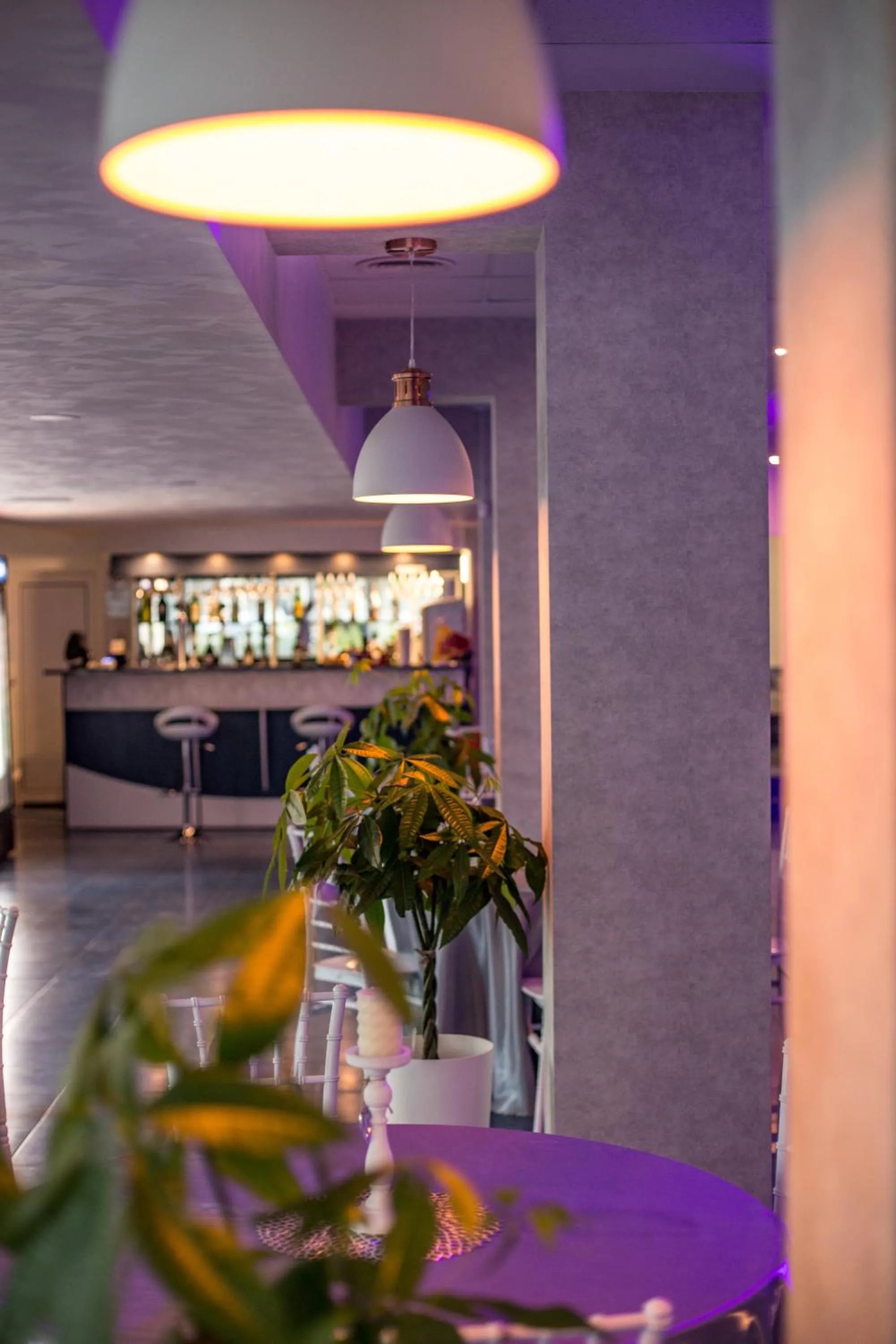 Restaurant/places to eat in Hotel Apollo