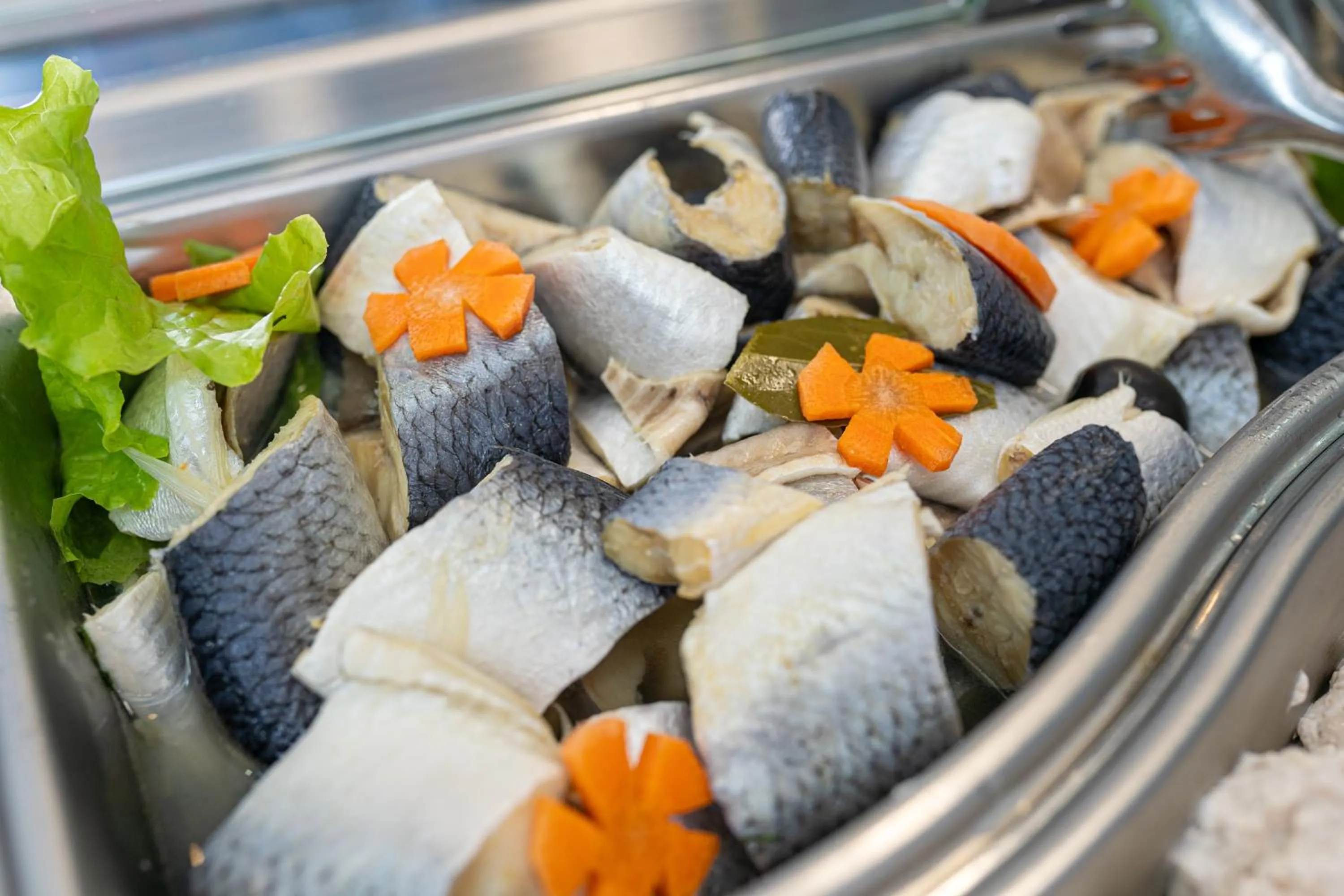 Restaurant/places to eat in Hotel Apollo