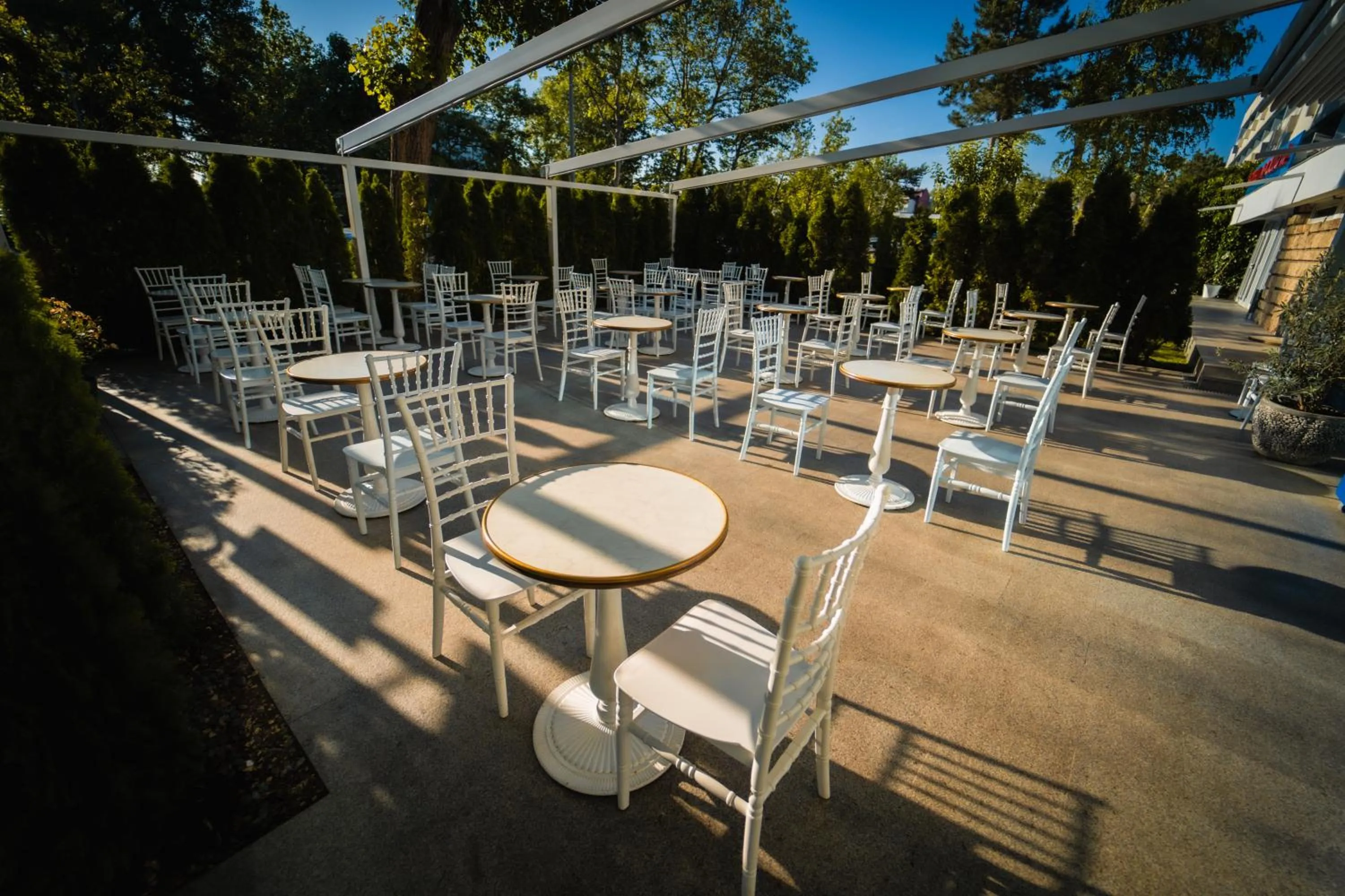 Restaurant/places to eat in Hotel Apollo