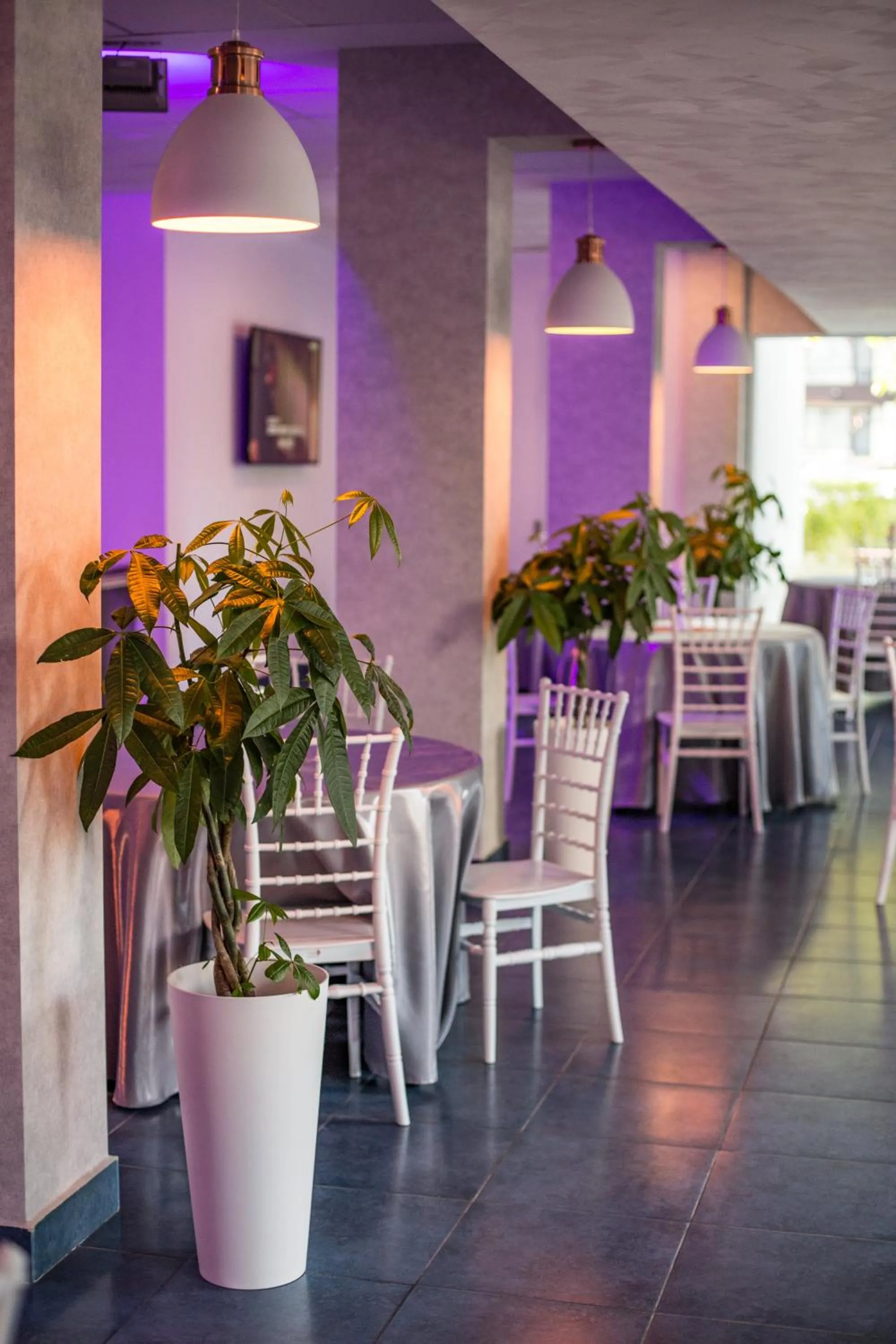 Restaurant/places to eat in Hotel Apollo