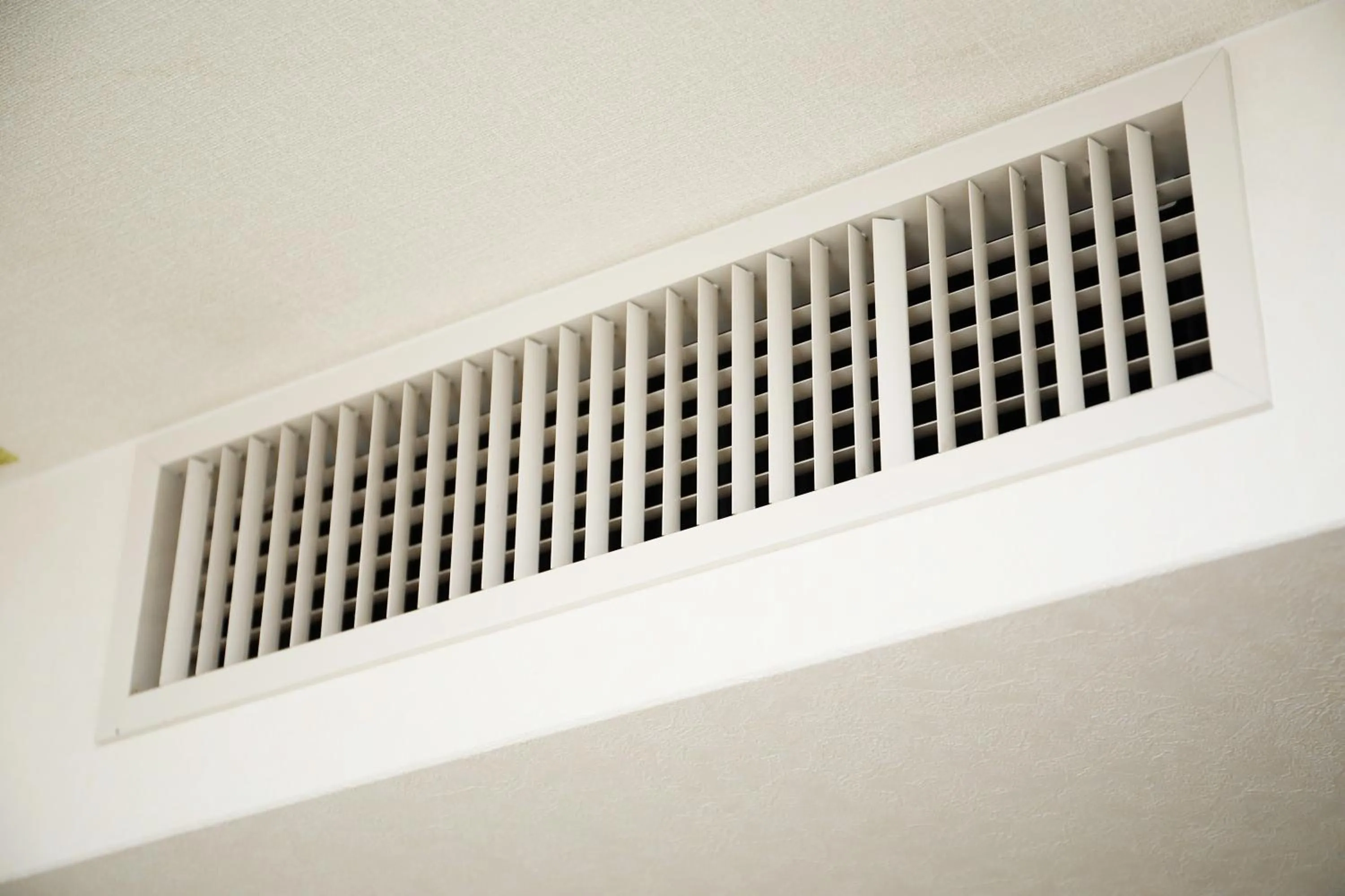 Area and facilities in Toyooka Sky Hotel