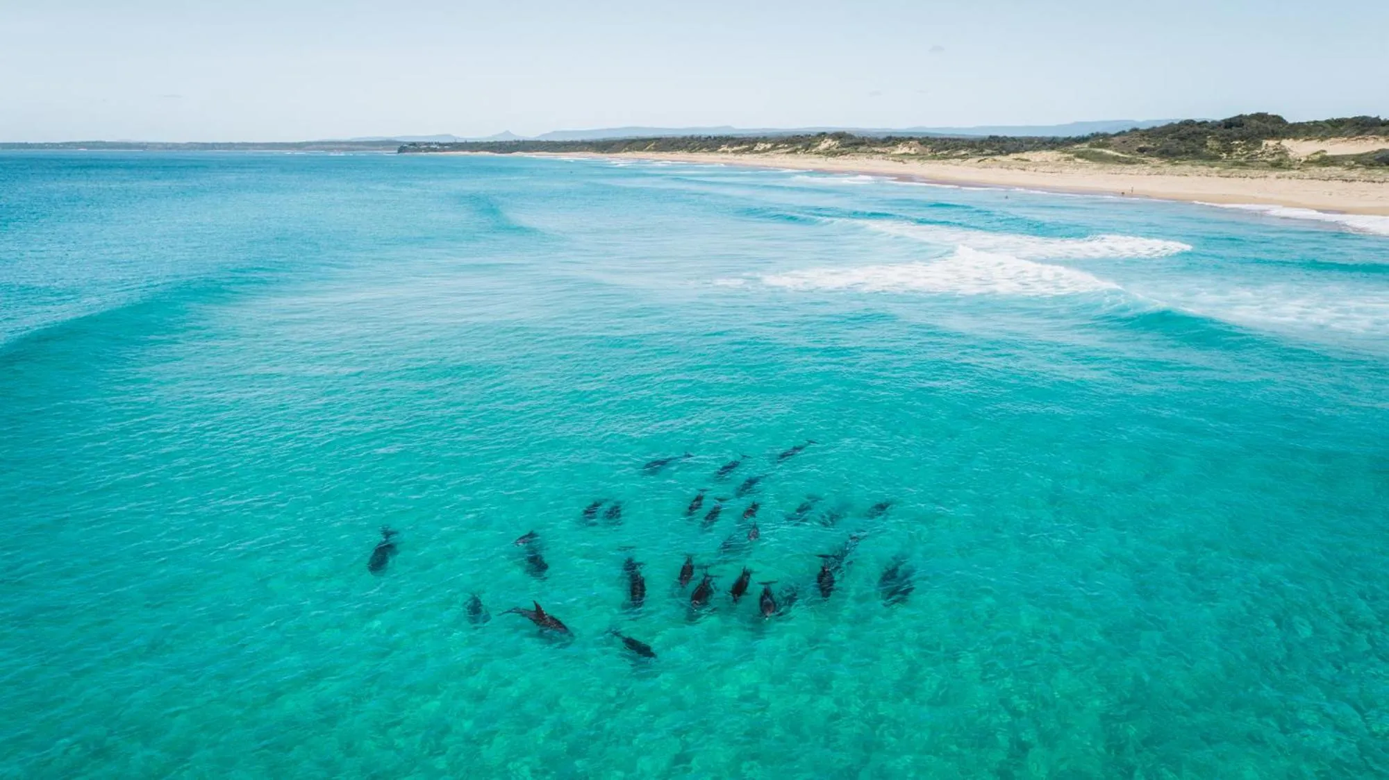 Natural landscape in Haven Holiday Resort Sussex Inlet