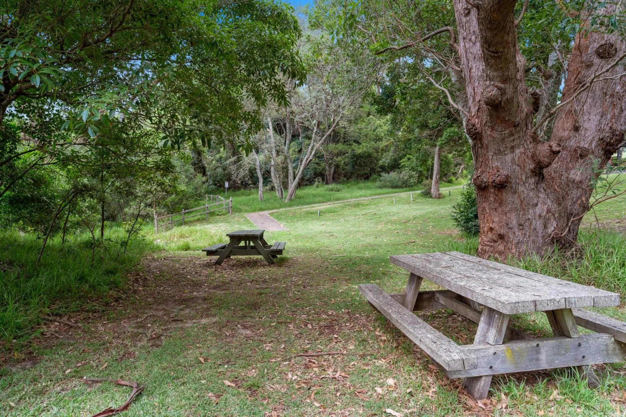 Garden in Haven Holiday Resort Sussex Inlet