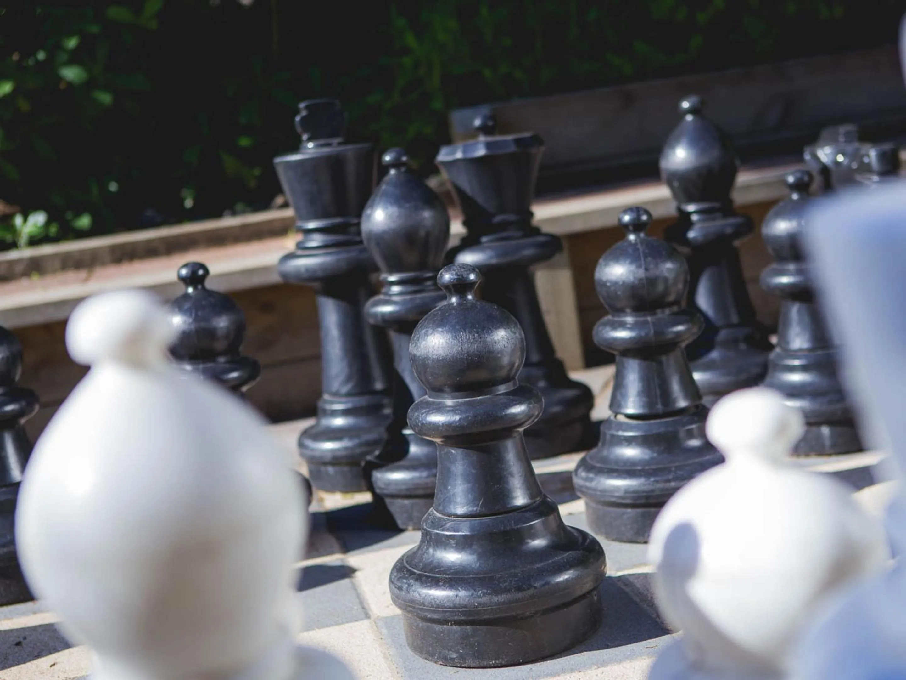 Garden in Pacific Park Christian Holiday Camp