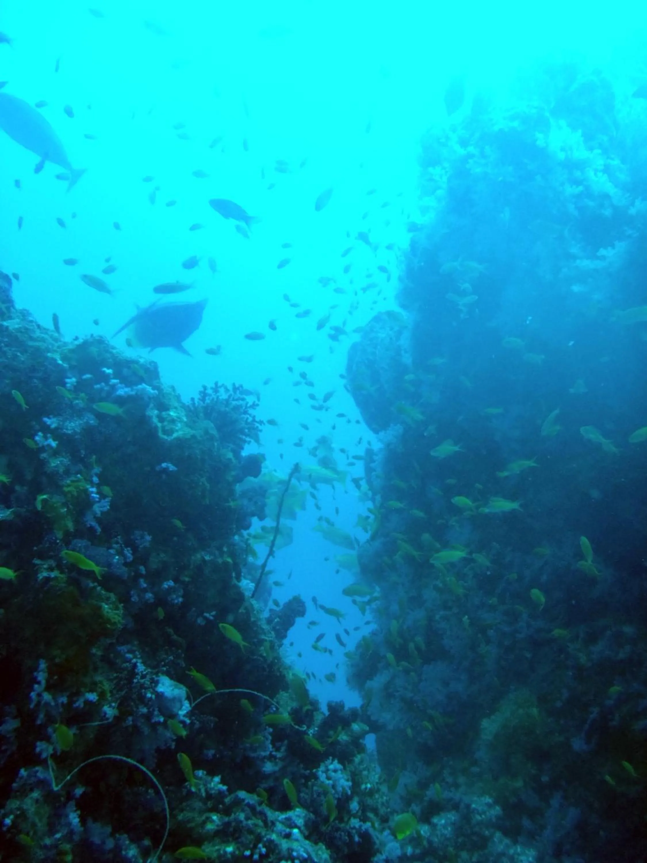 Off site in Kawans Inn Lembongan