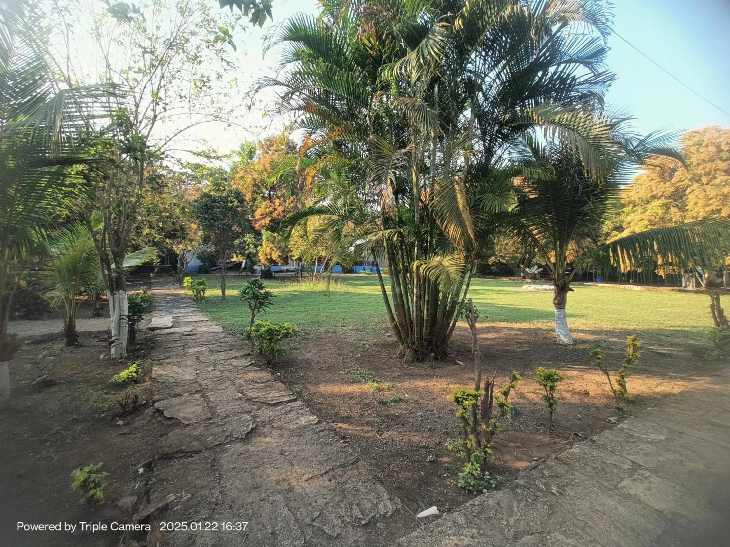 Gir County Resort Gir County Resort