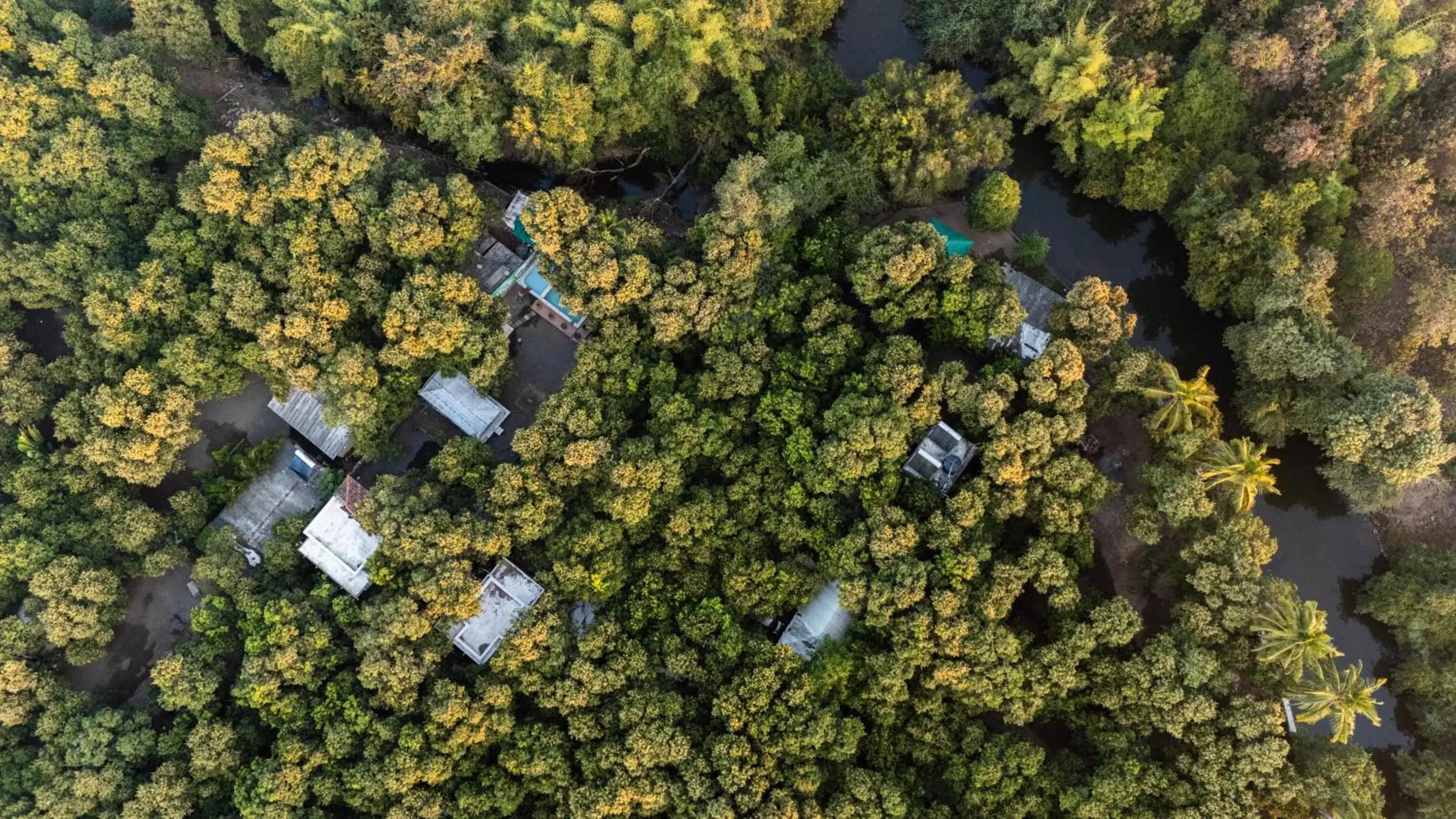 Property building in Gir County Resort Property building in Gir County Resort