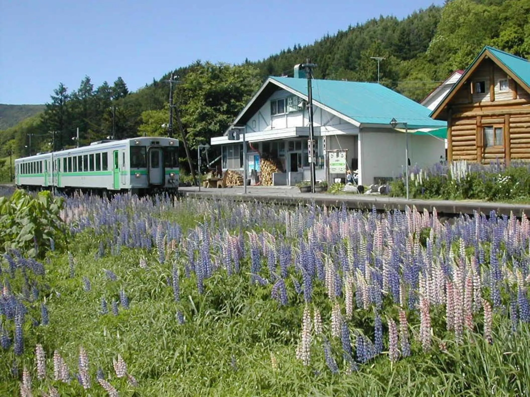 Hirafu Station Guesthouse - Ekinoyado Hirafu
