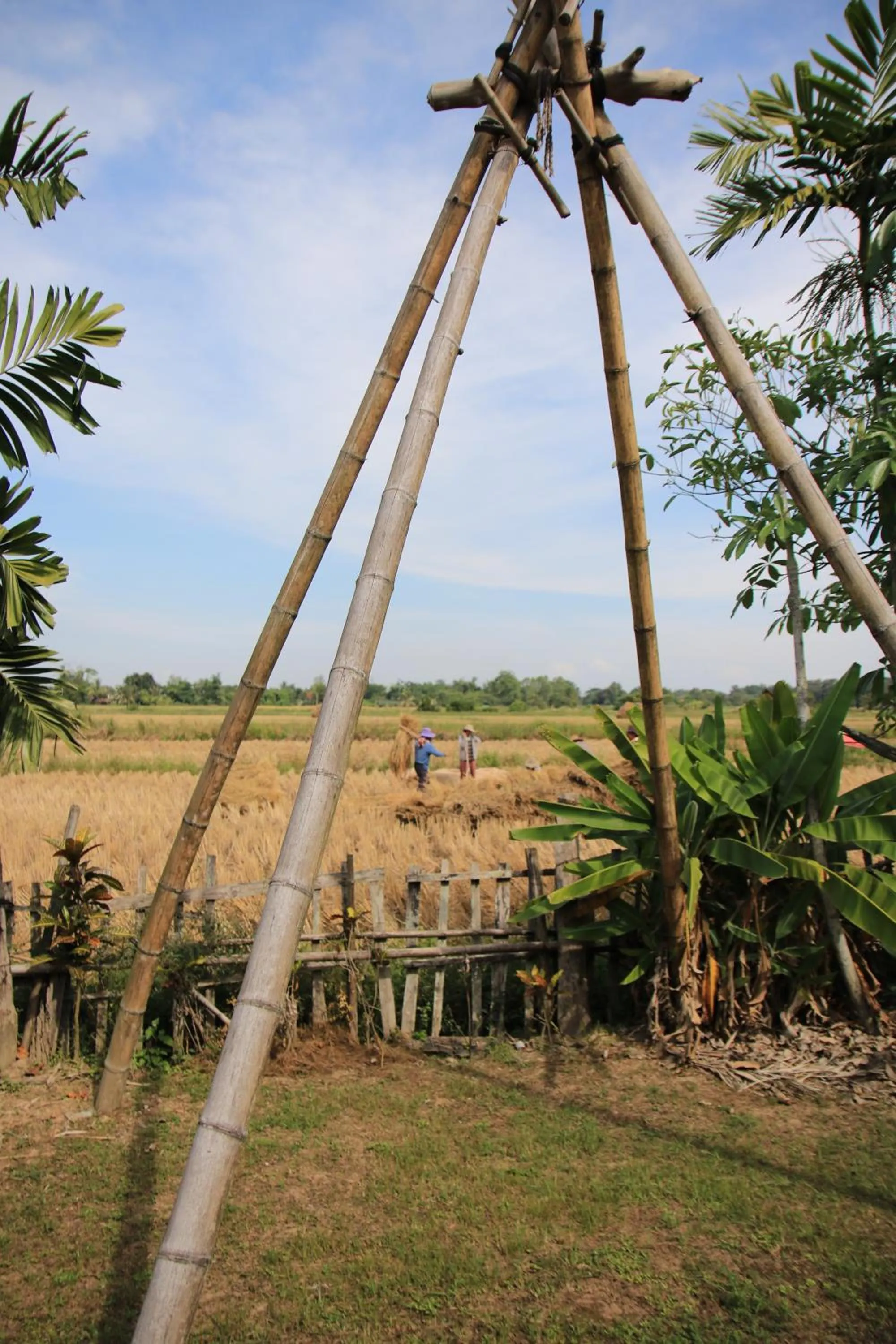 Property building in Ban Din Resort Chiang Rai
