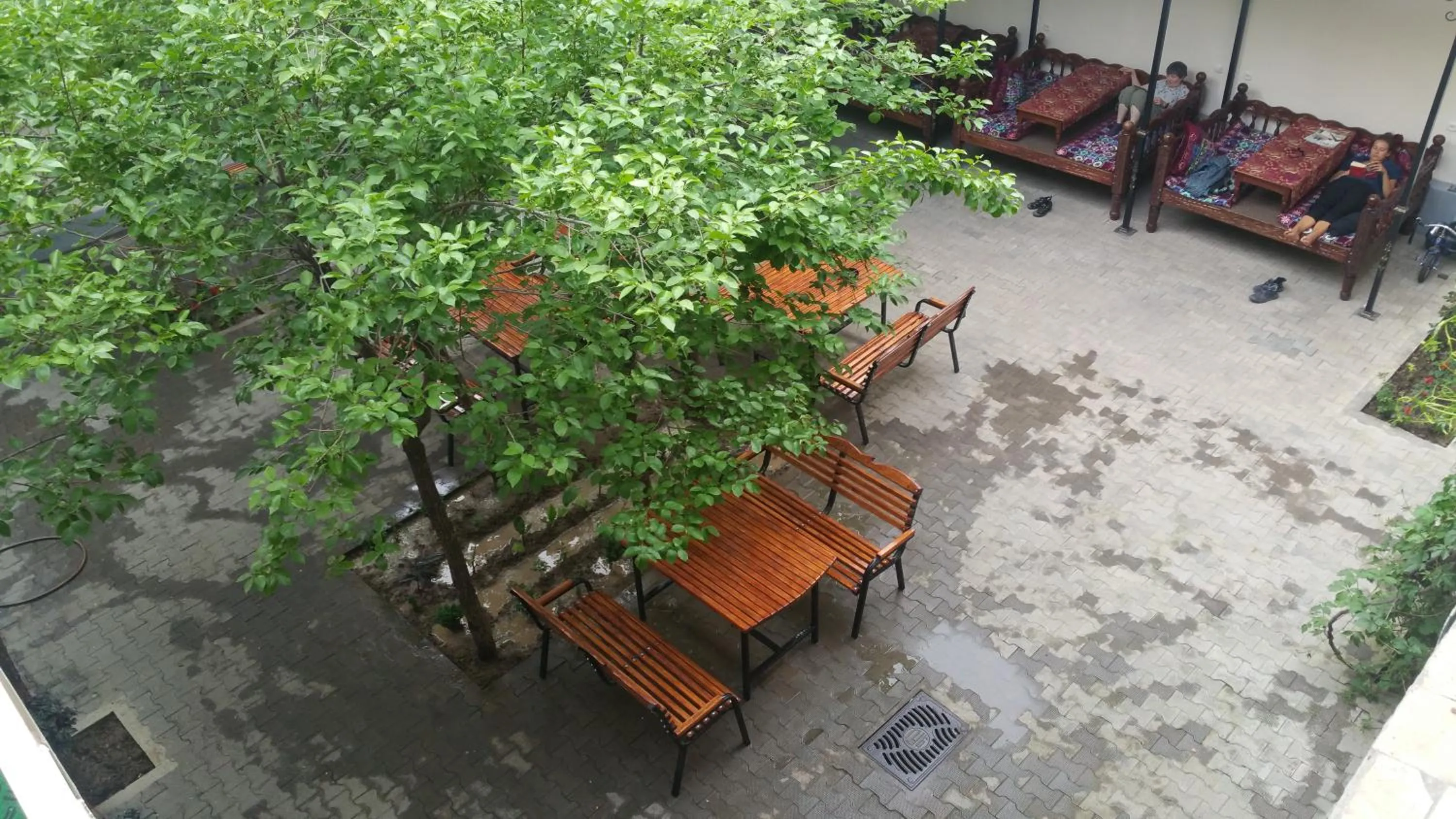Gulnara Guesthouse - Hostel