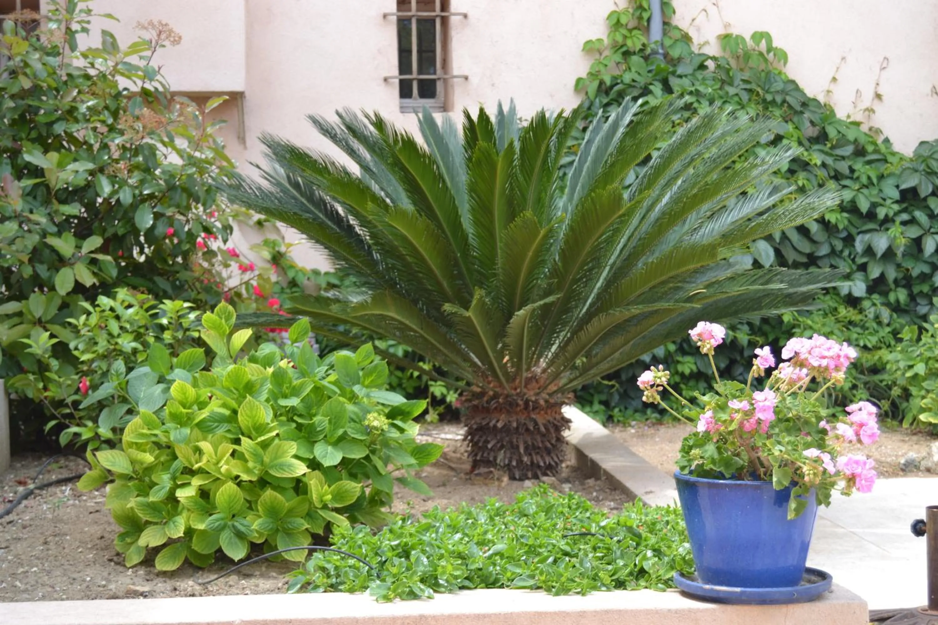 Day in Le Mazet des Mûres