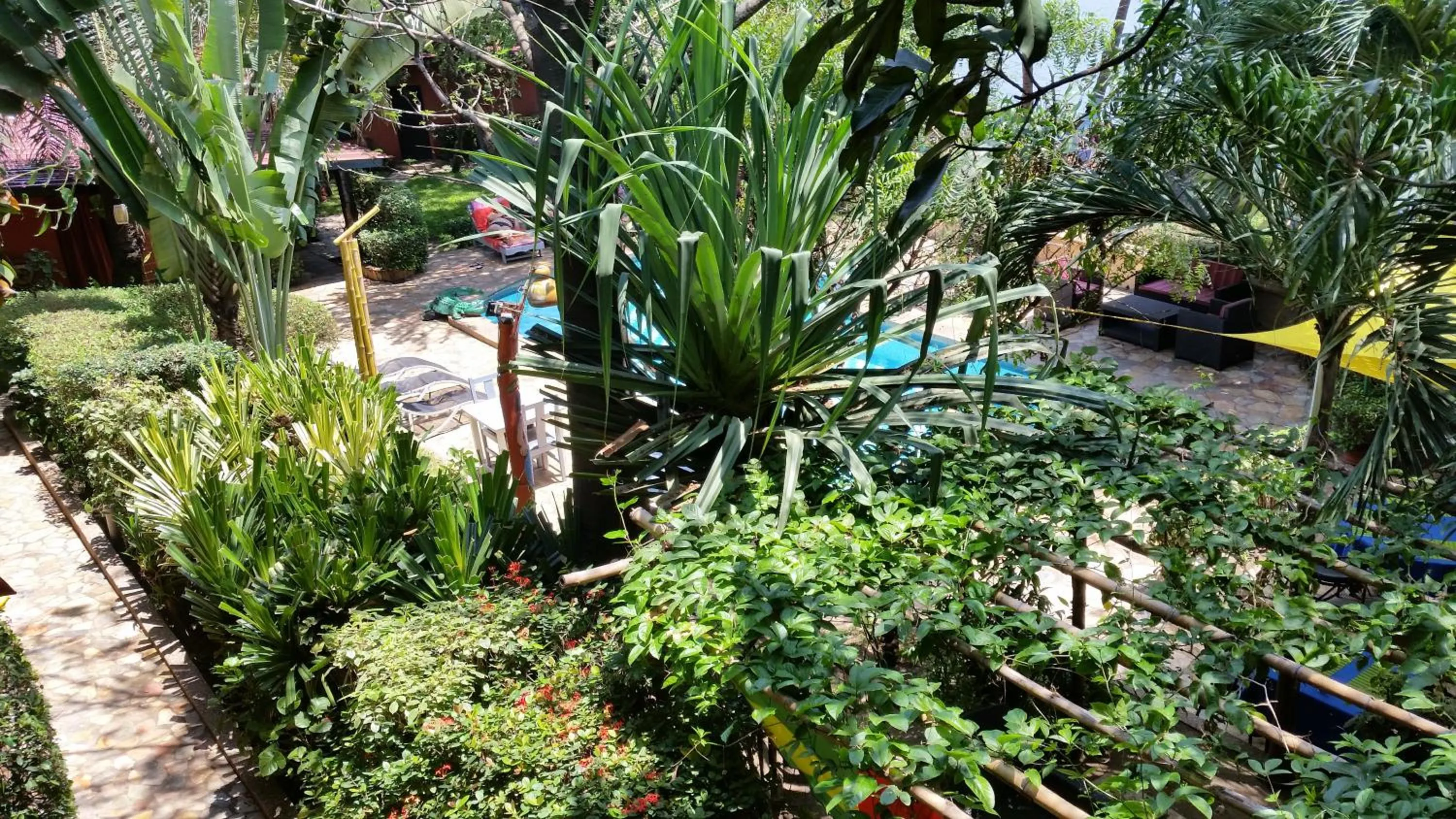 Garden in Hotel Napoleon Lagune