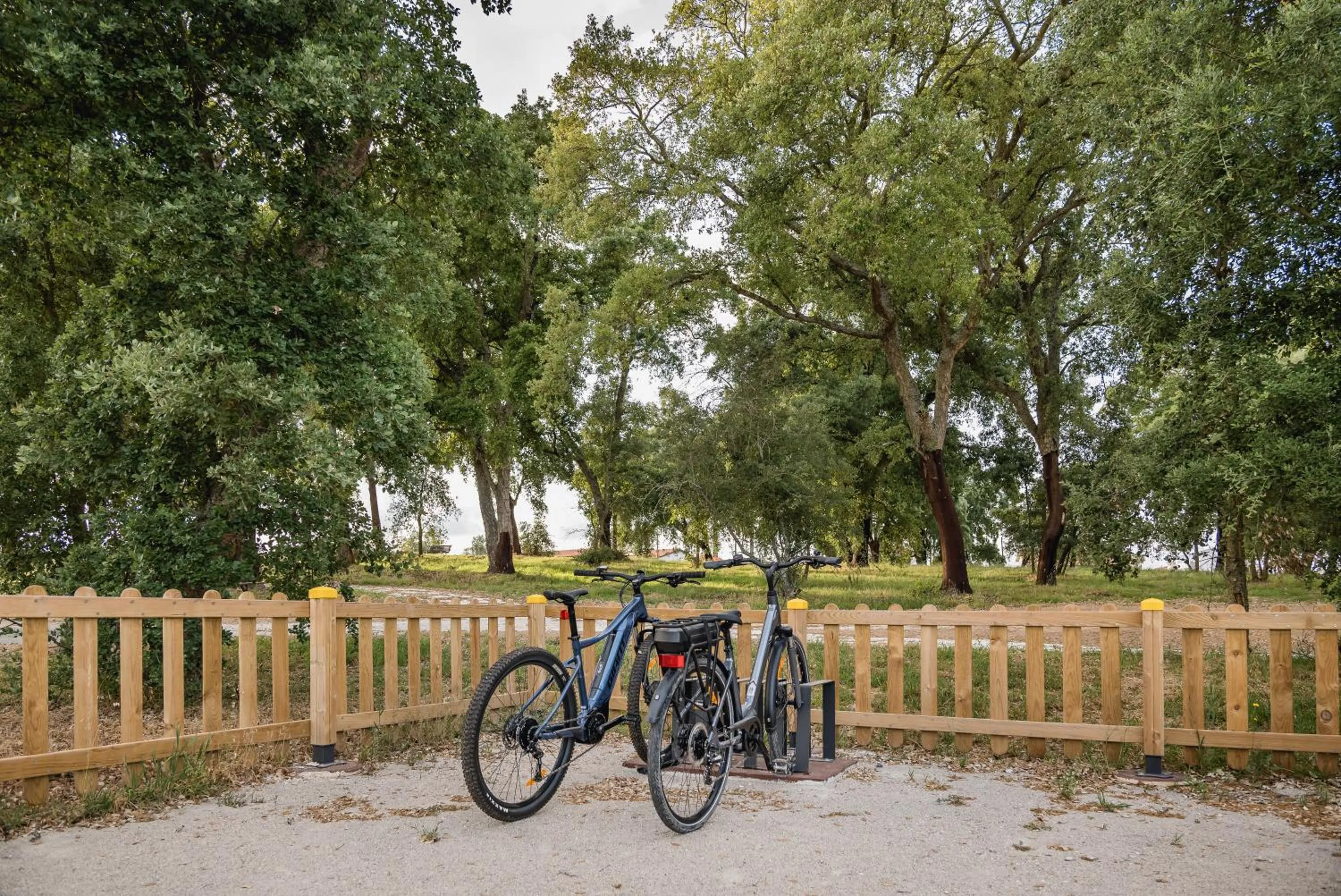 Entertainment in Haven Nature Hotel & Villas