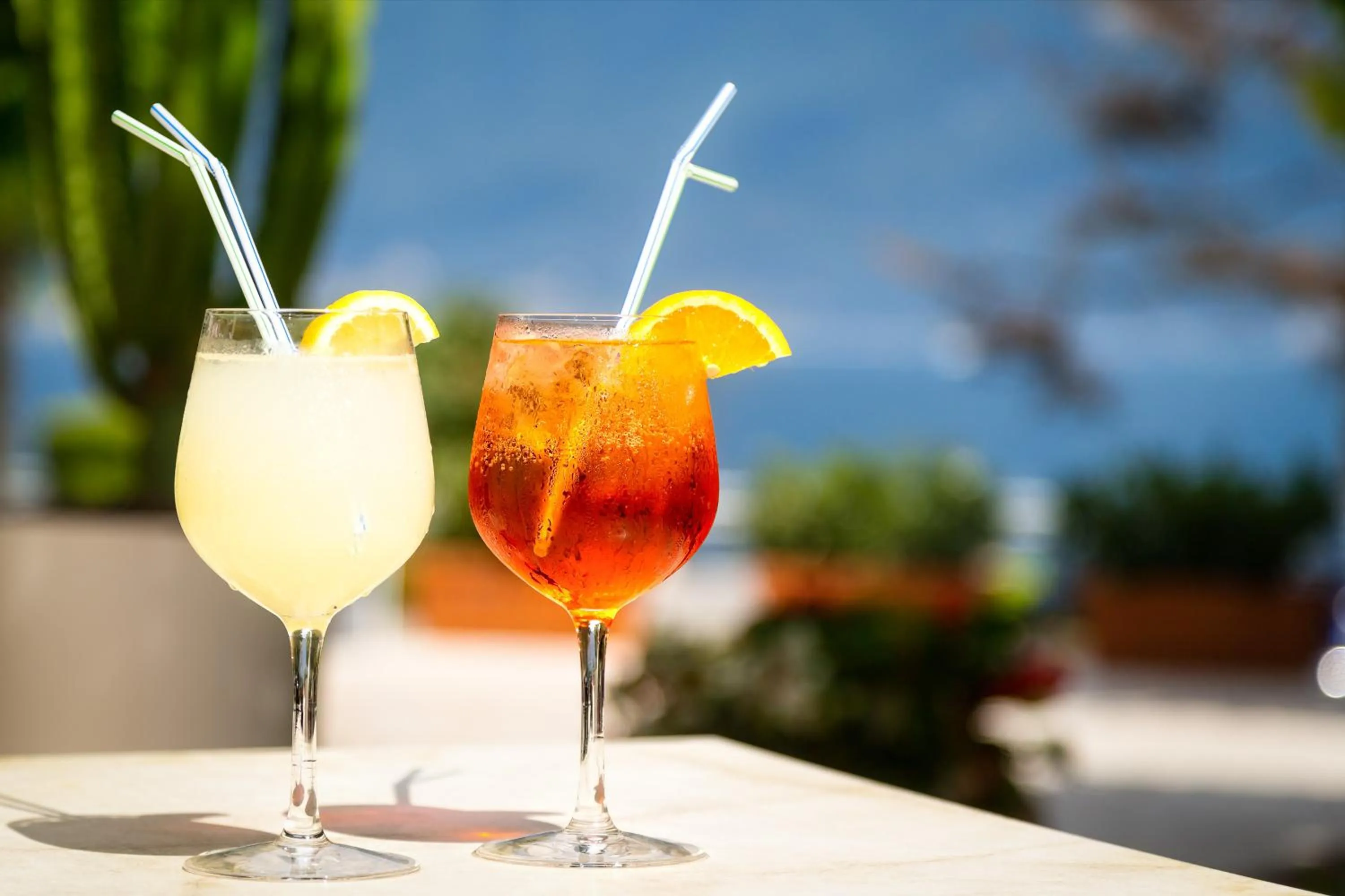 Alcoholic drinks in Hotel Leonardo Da Vinci