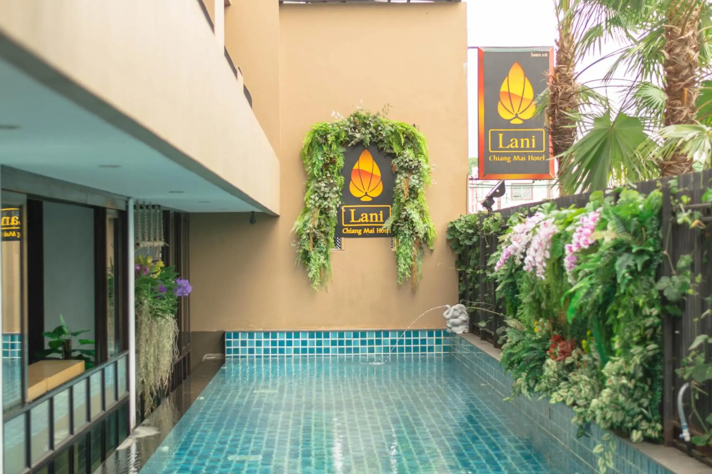 Swimming pool in Lani Chiang Mai Hotel Swimming pool in Lani Chiang Mai Hotel