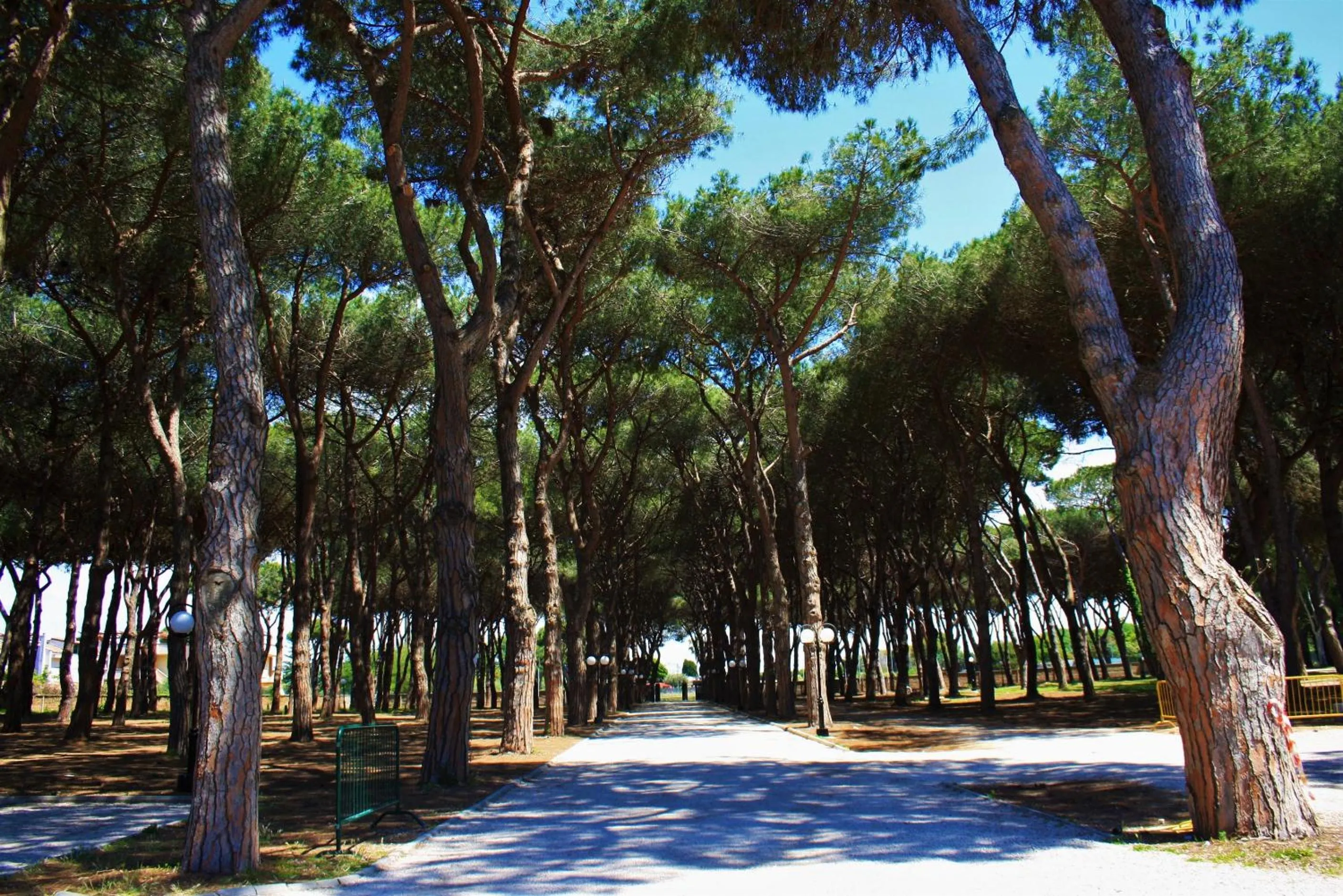 La Pineta Dei Liberti