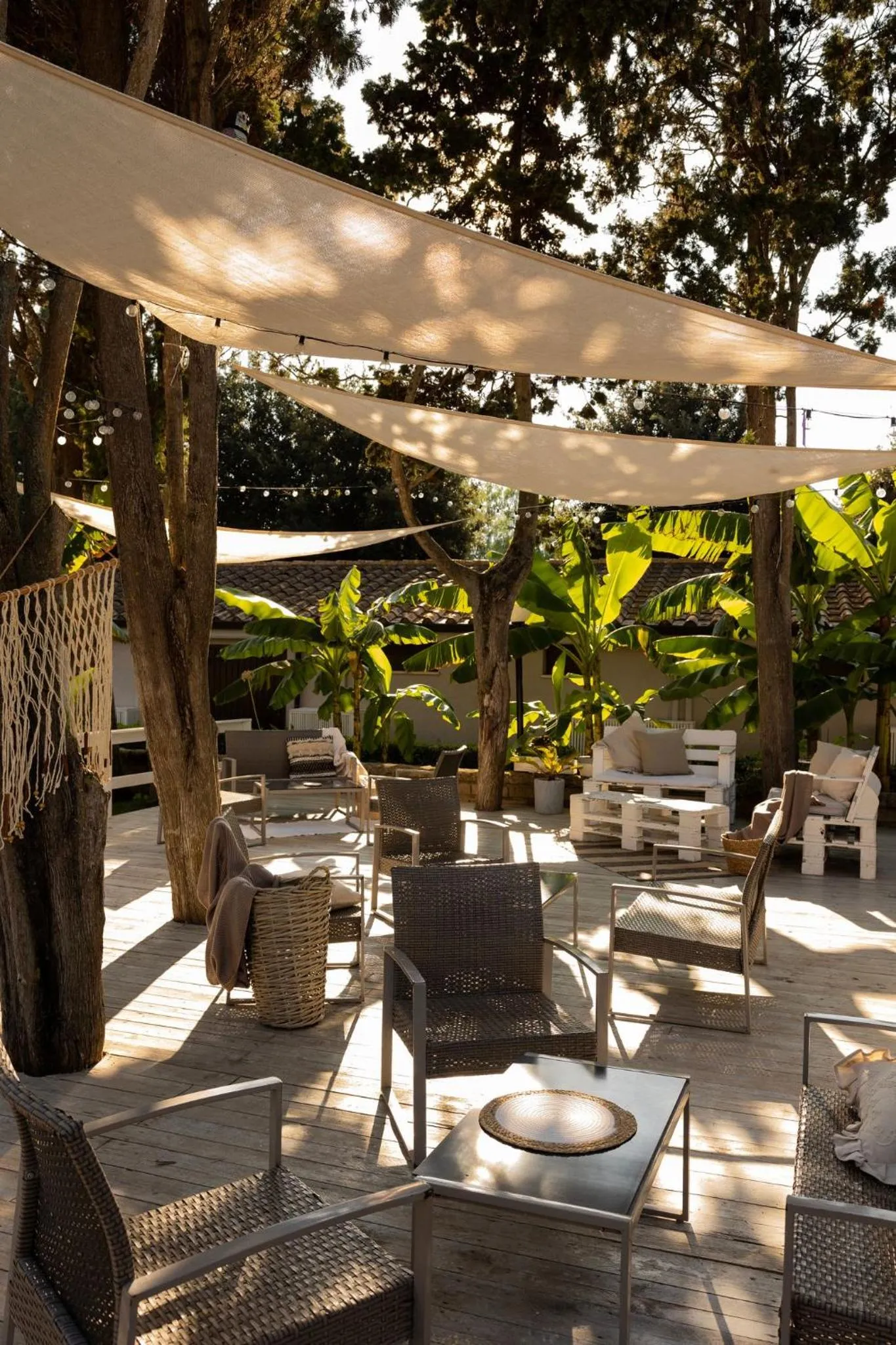 Restaurant/places to eat in La Pineta Dei Liberti