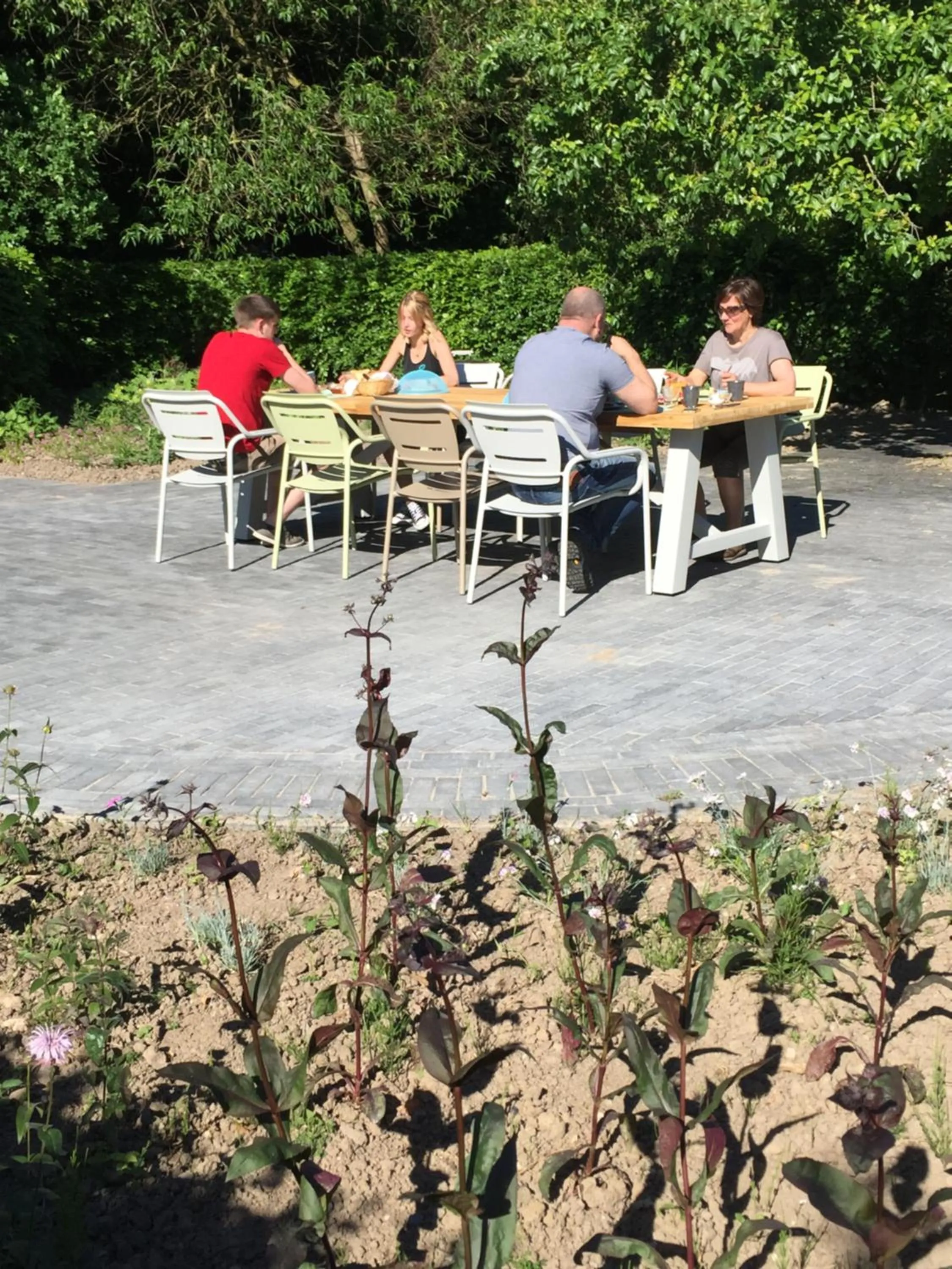 B & B De Lorijn