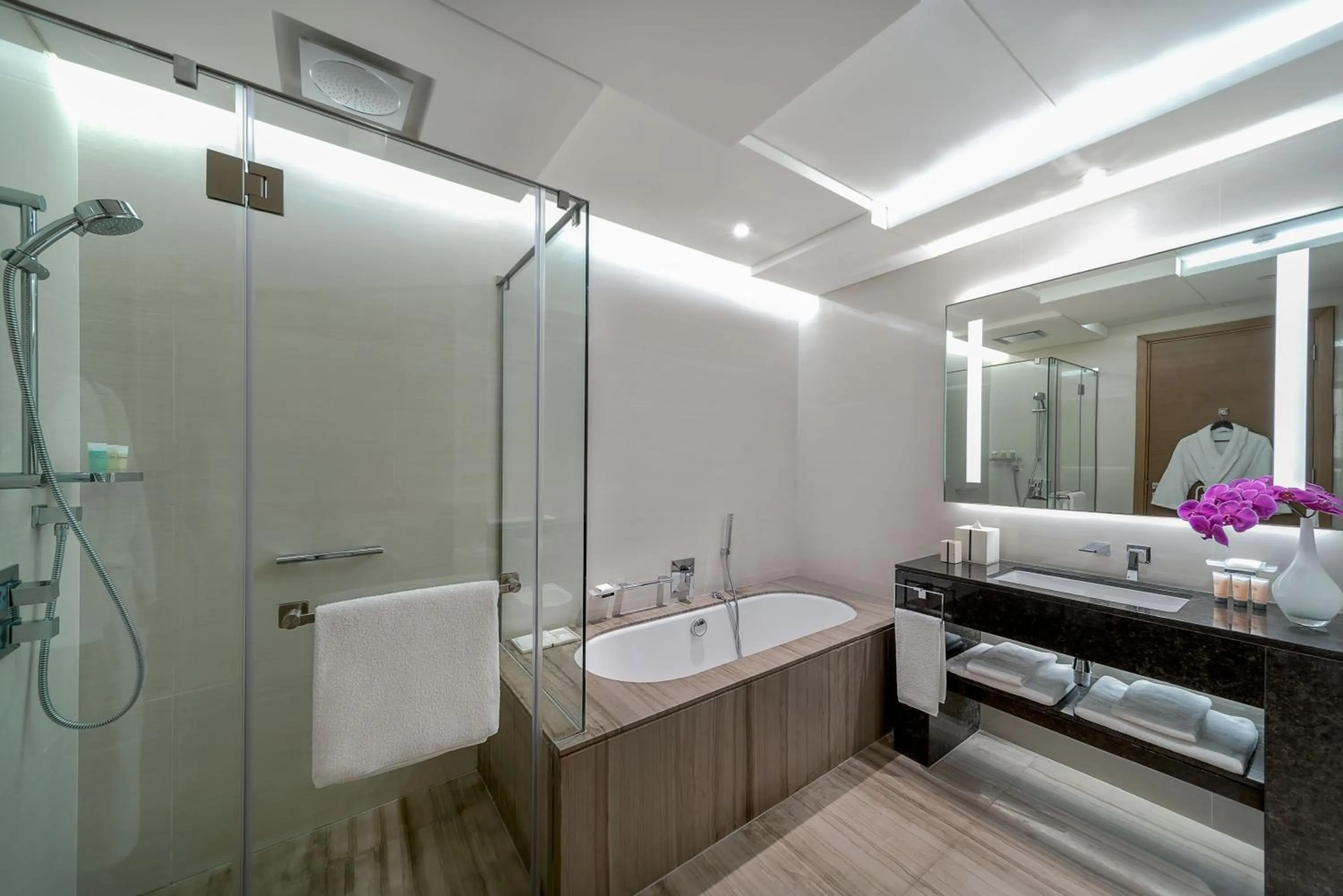 Bathroom in Hyatt Regency Creek Heights Residences