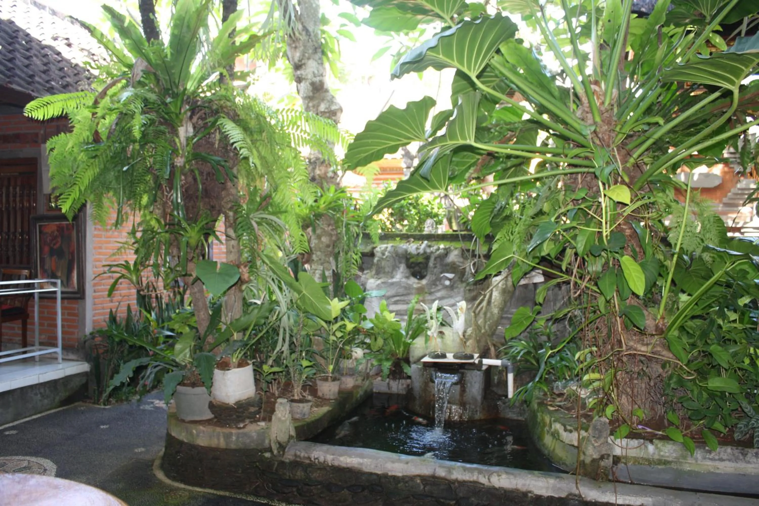 Garden in Raka House Accommodation