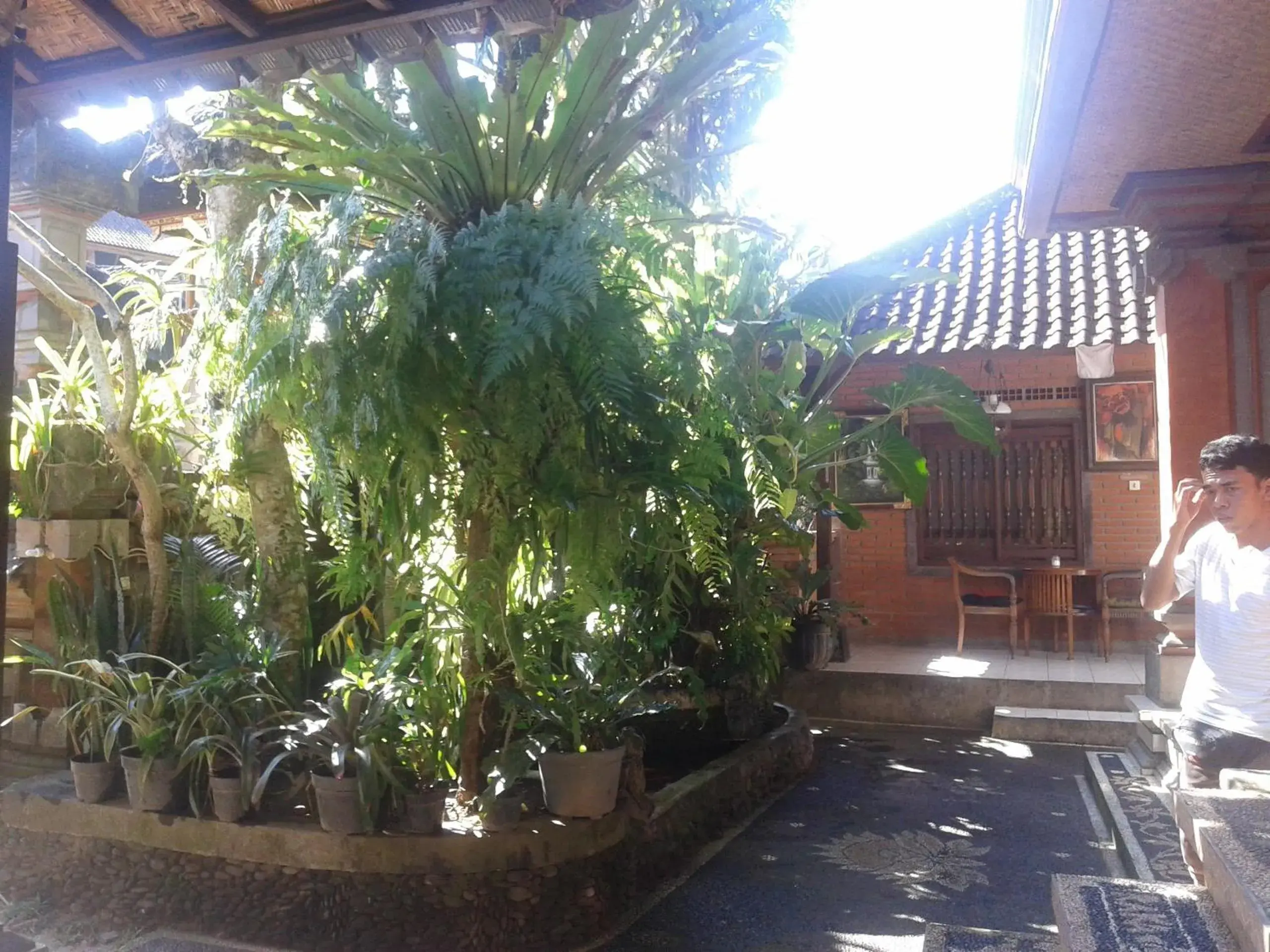 Double Room in Raka House Accommodation Double Room in Raka House Accommodation