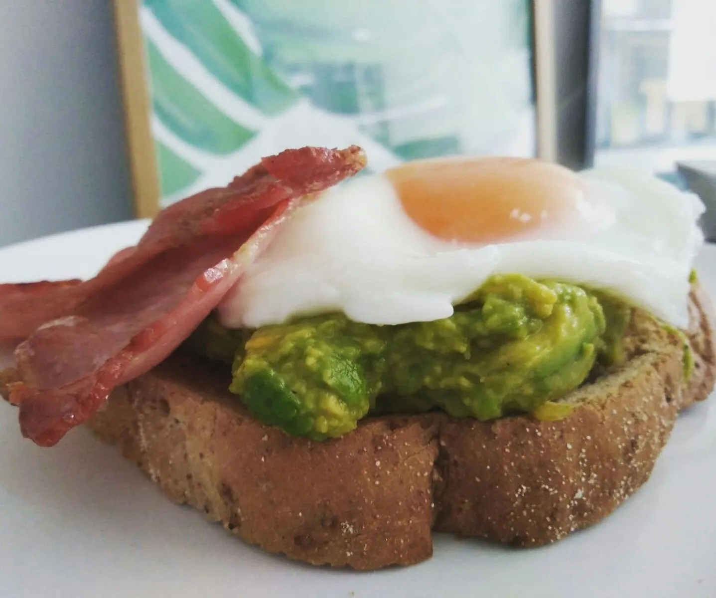 Sleep, Eat, Repeat Bed and Breakfast