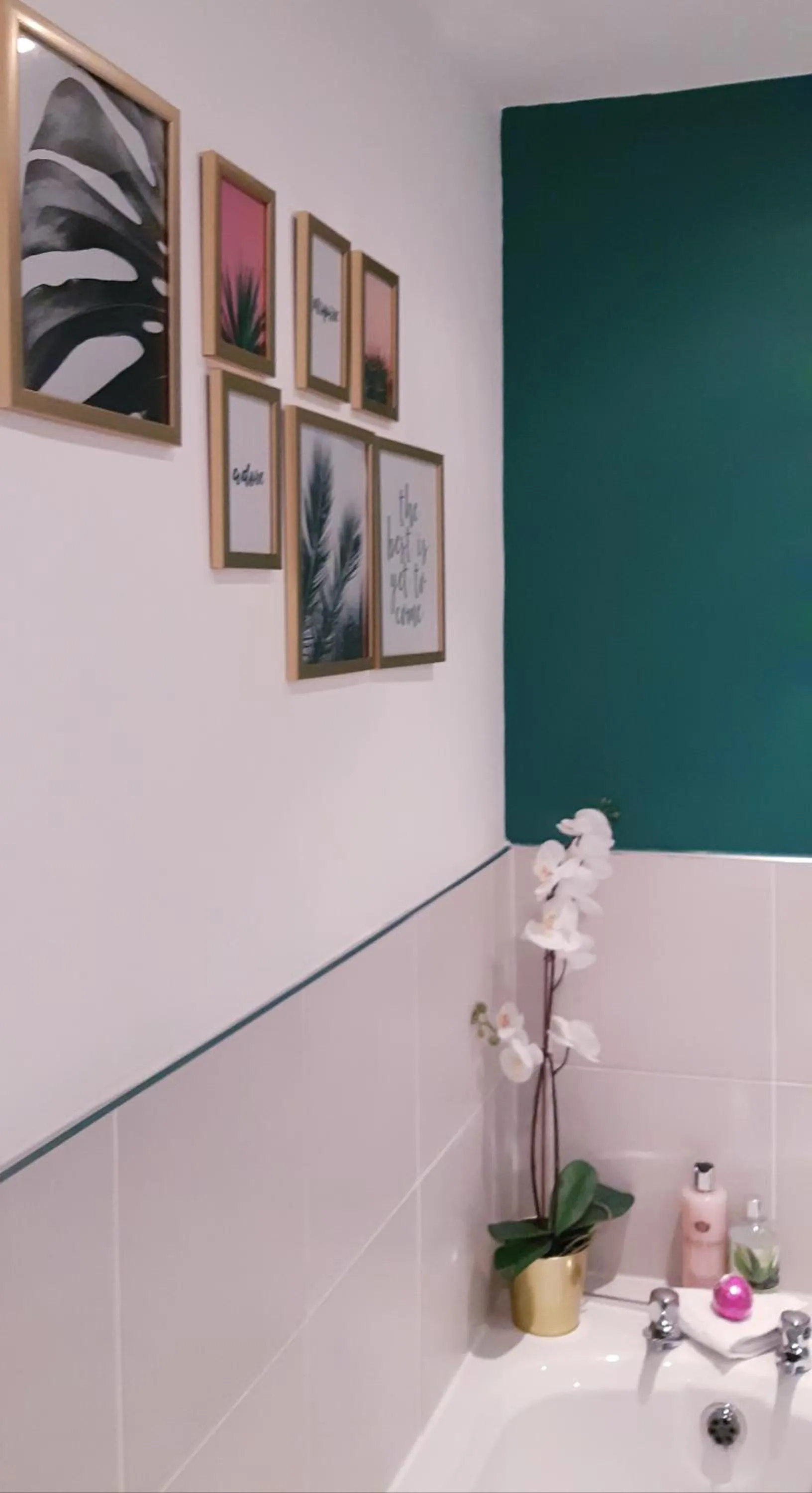 Sleep, Eat, Repeat Bed and Breakfast