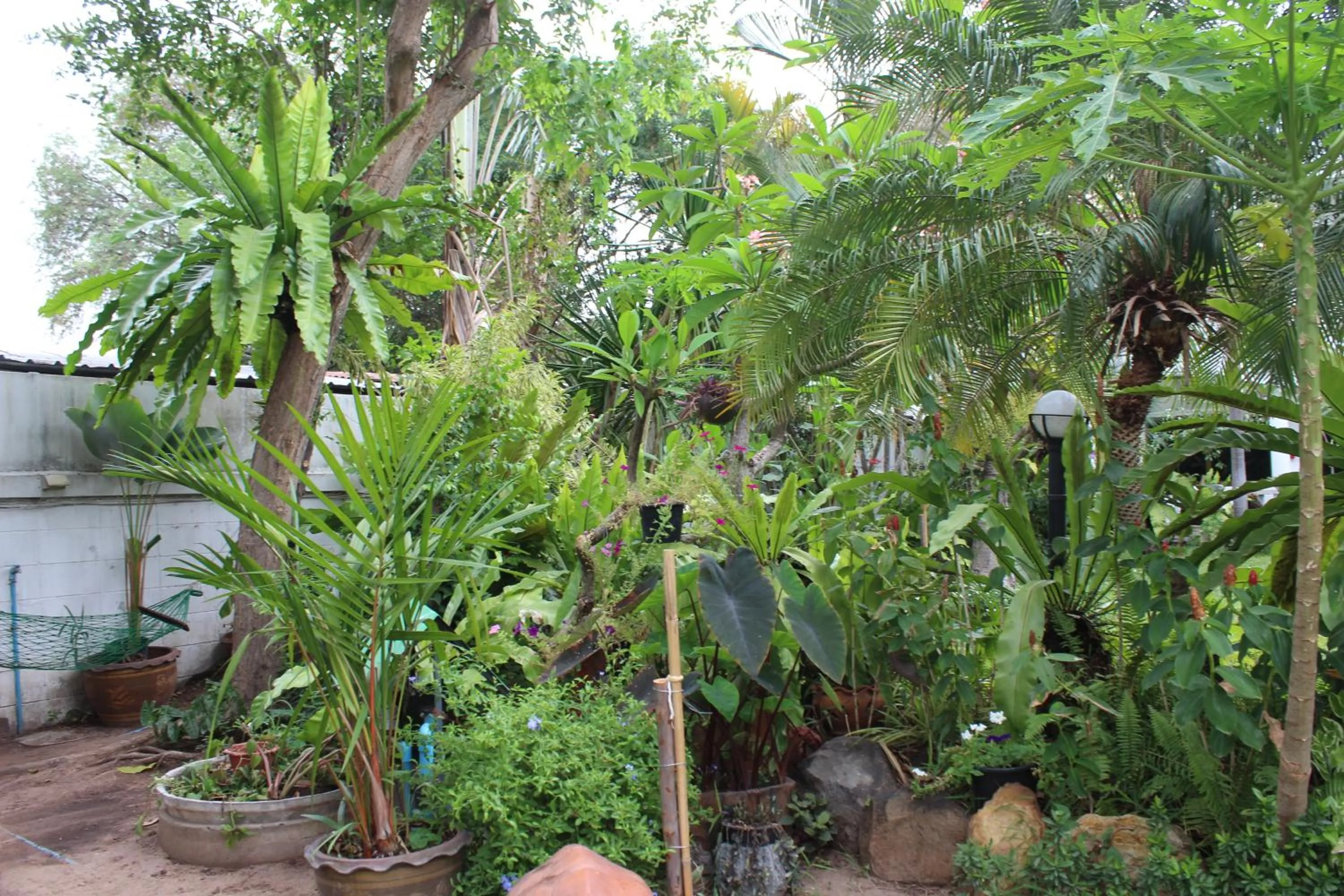 White Elephant Resort