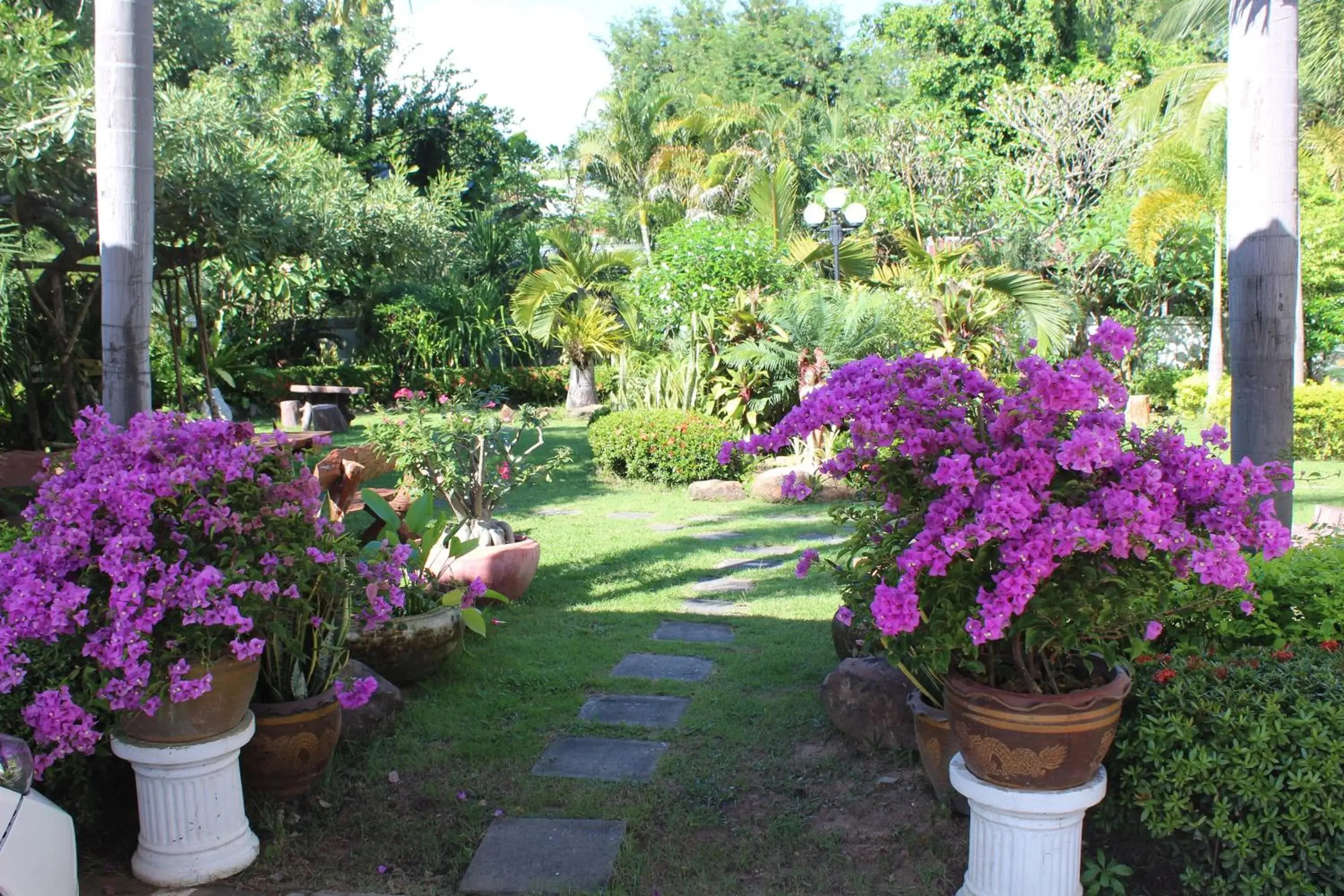 Property building in White Elephant Resort Property building in White Elephant Resort