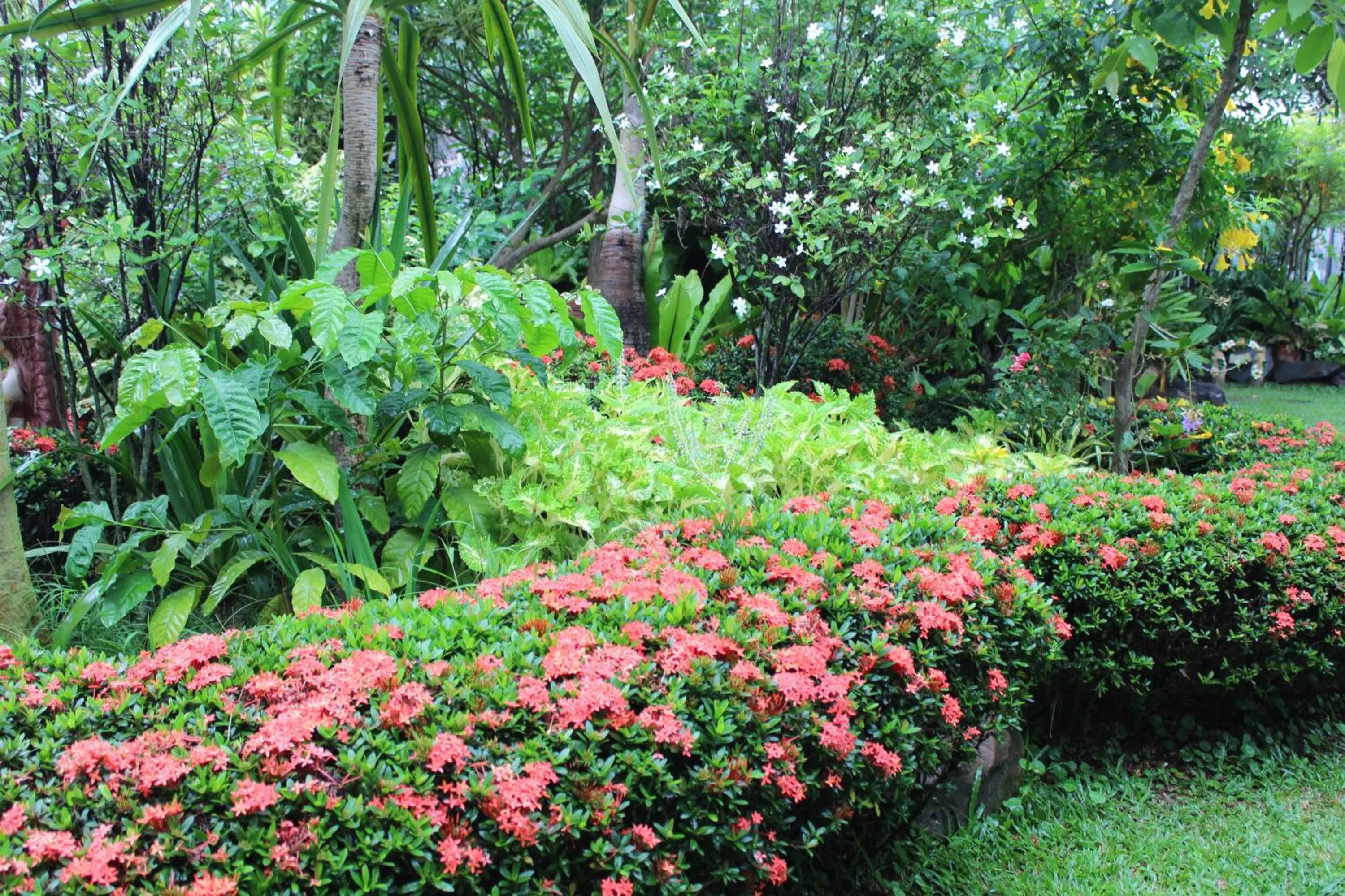 Garden in White Elephant Resort