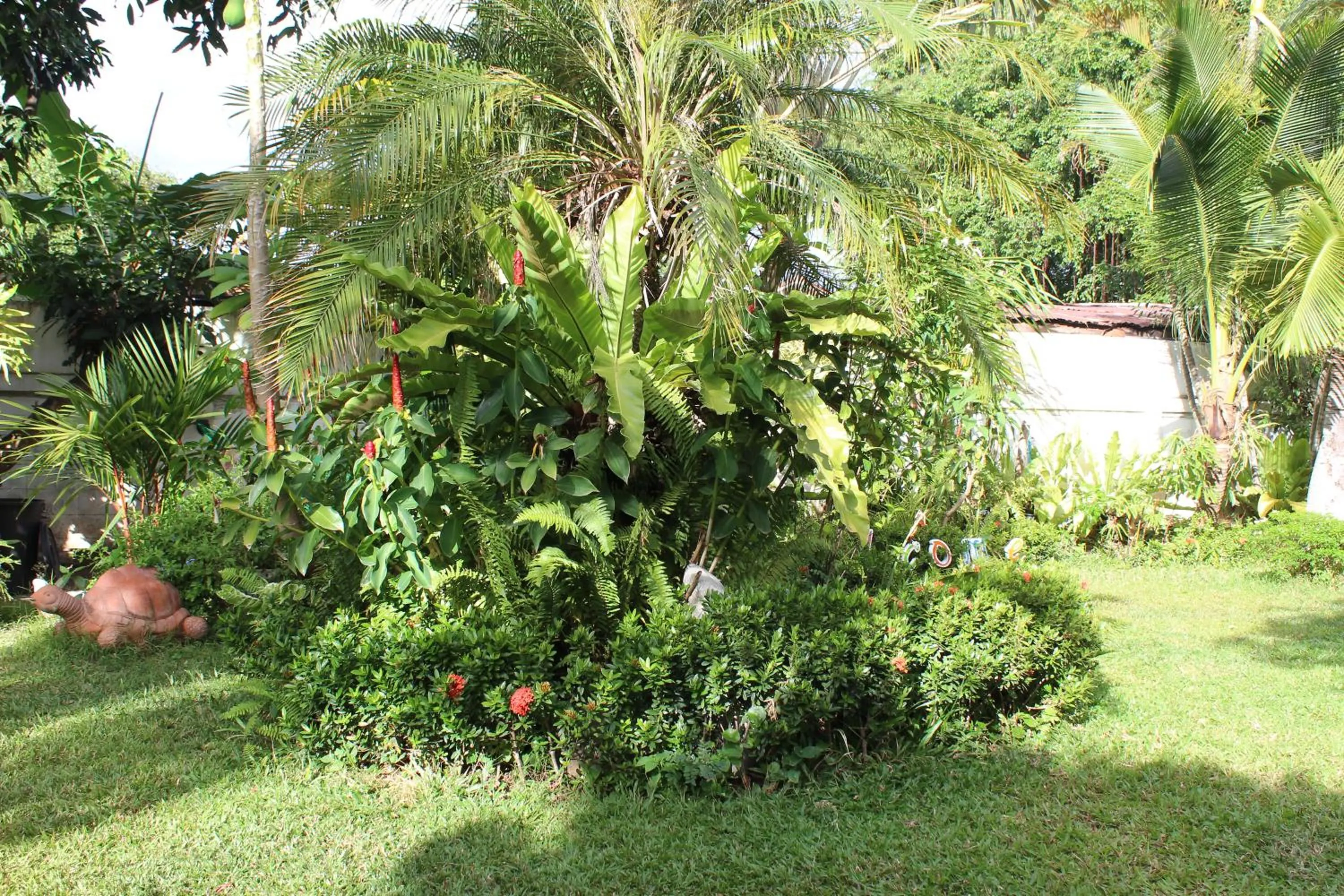 White Elephant Resort