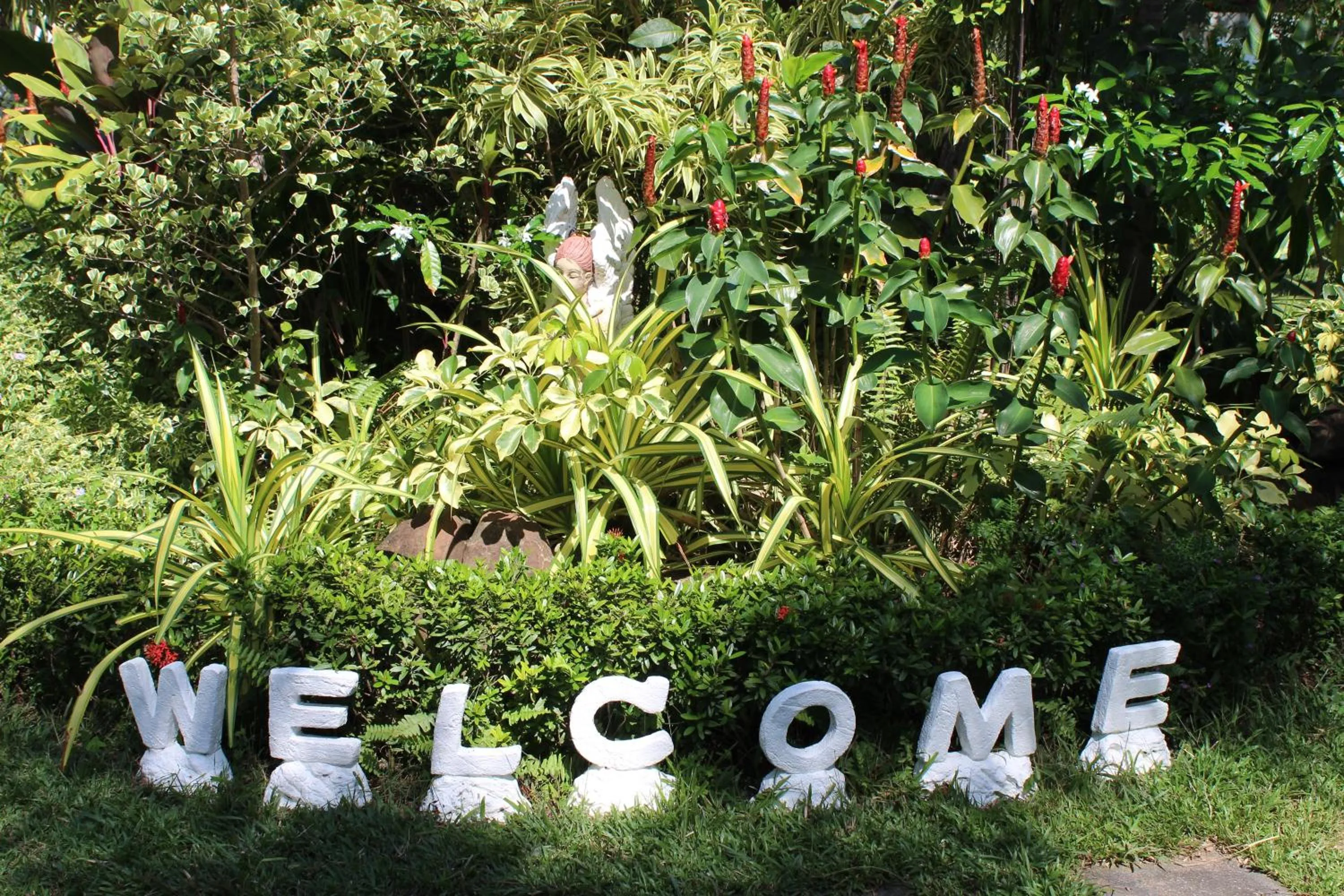 White Elephant Resort