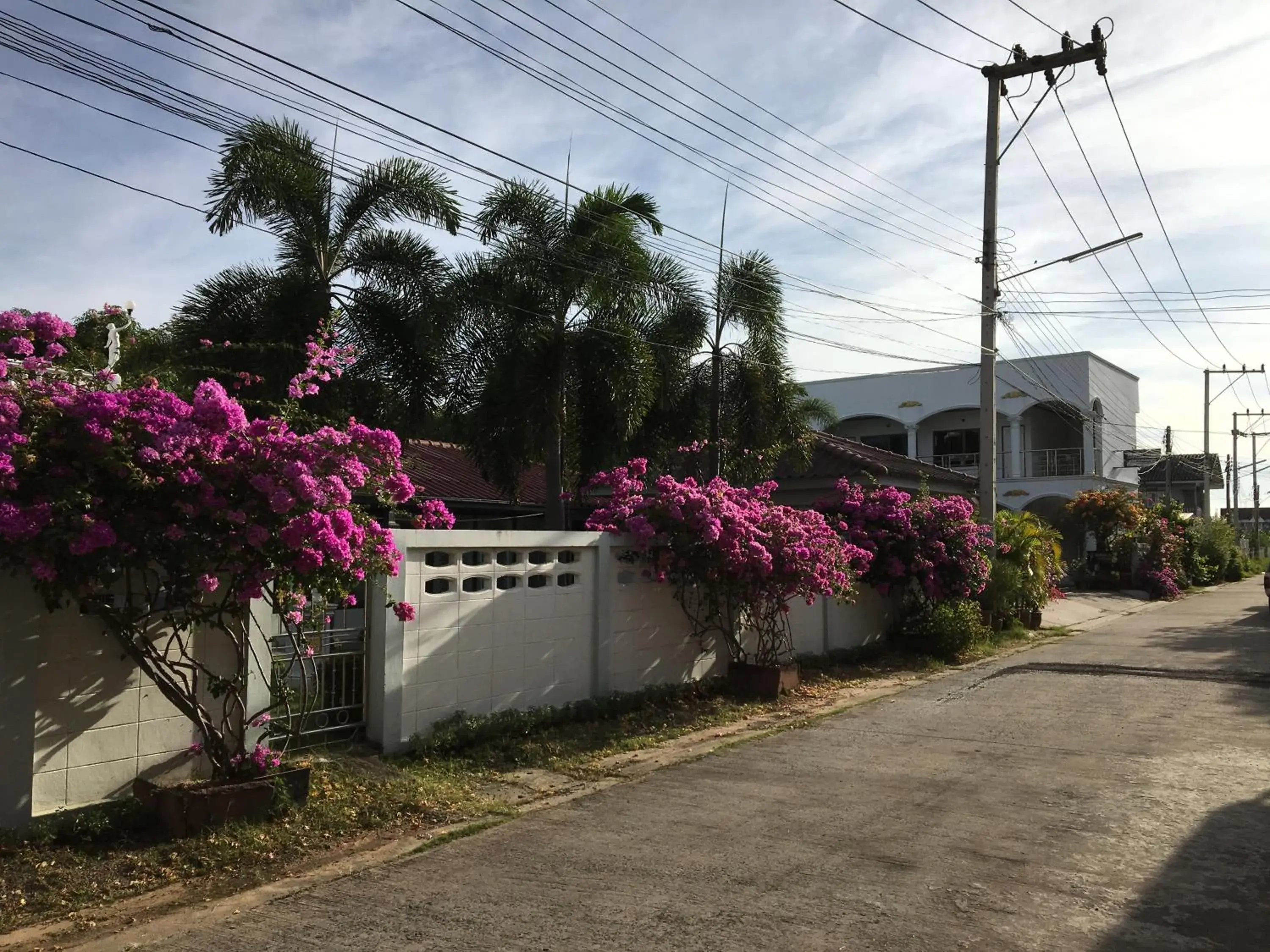 Property building in White Elephant Resort Property building in White Elephant Resort