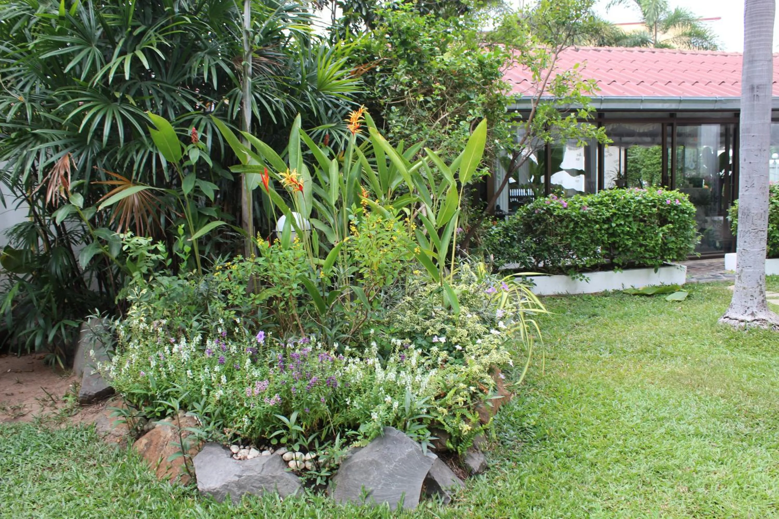 White Elephant Resort