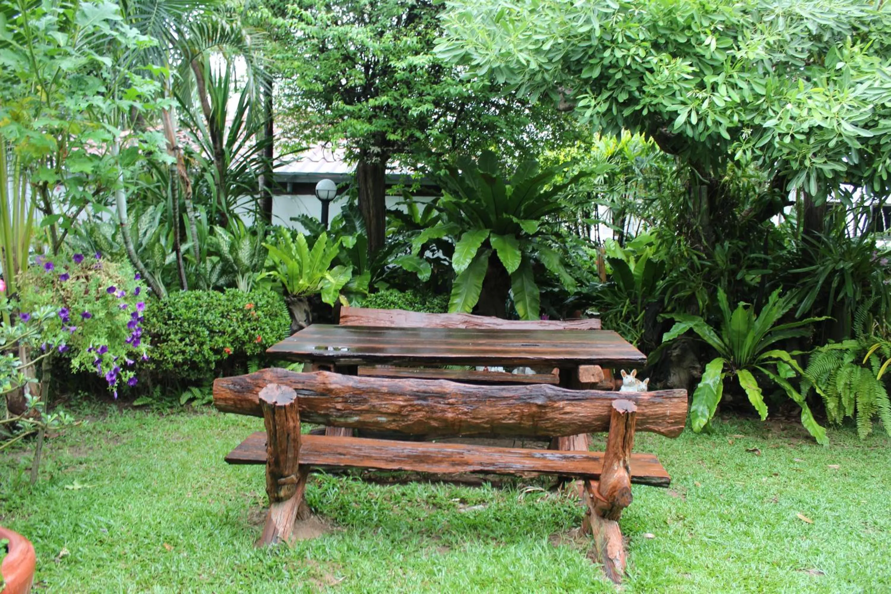 Garden in White Elephant Resort