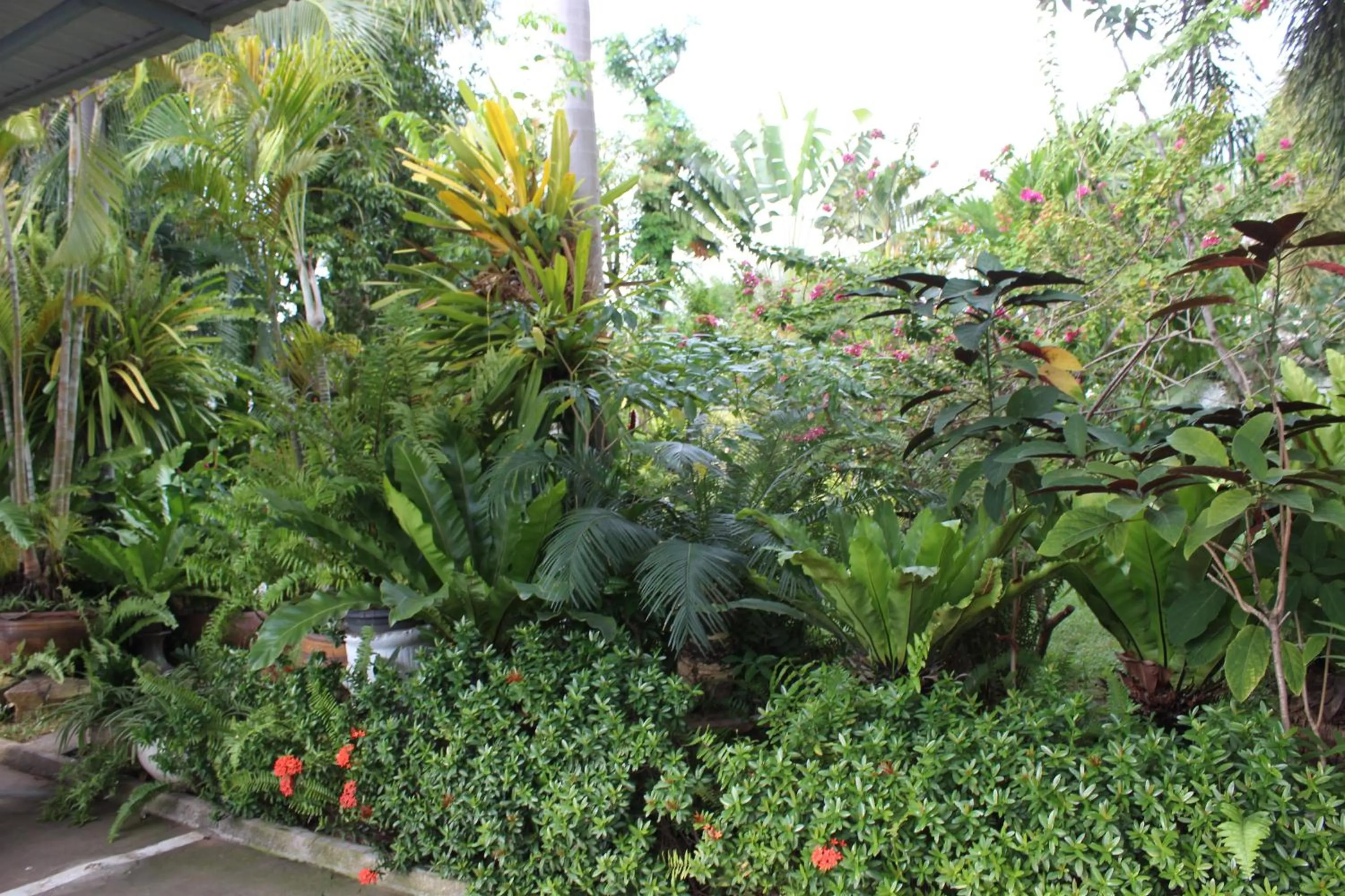 White Elephant Resort