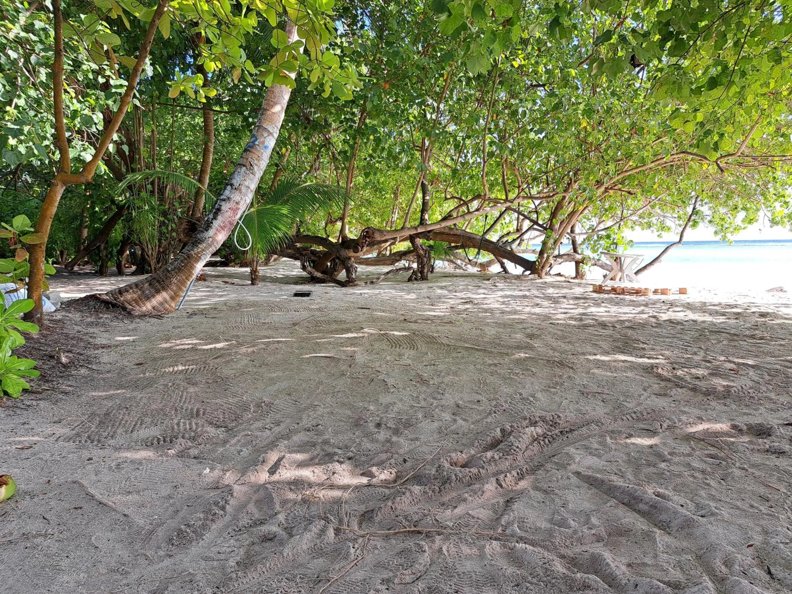 Natural landscape in Shams Thoddoo