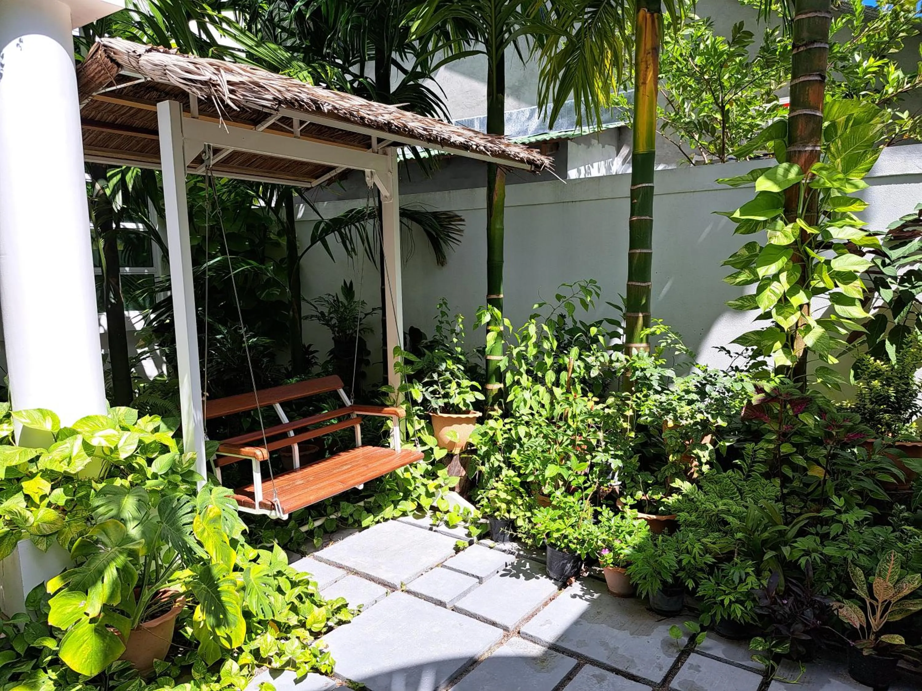Property building in Shams Thoddoo