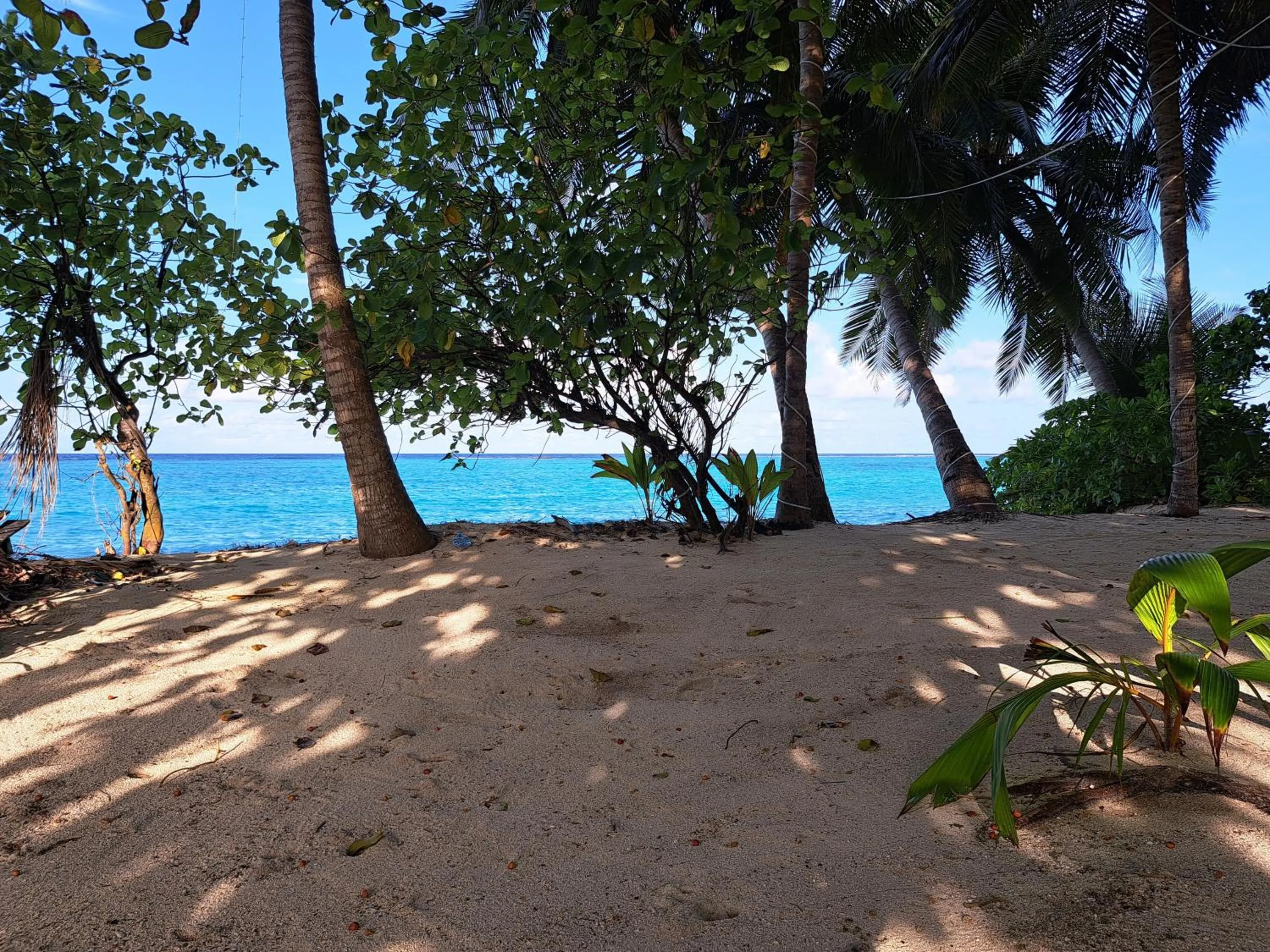 Nearby landmark in Shams Thoddoo