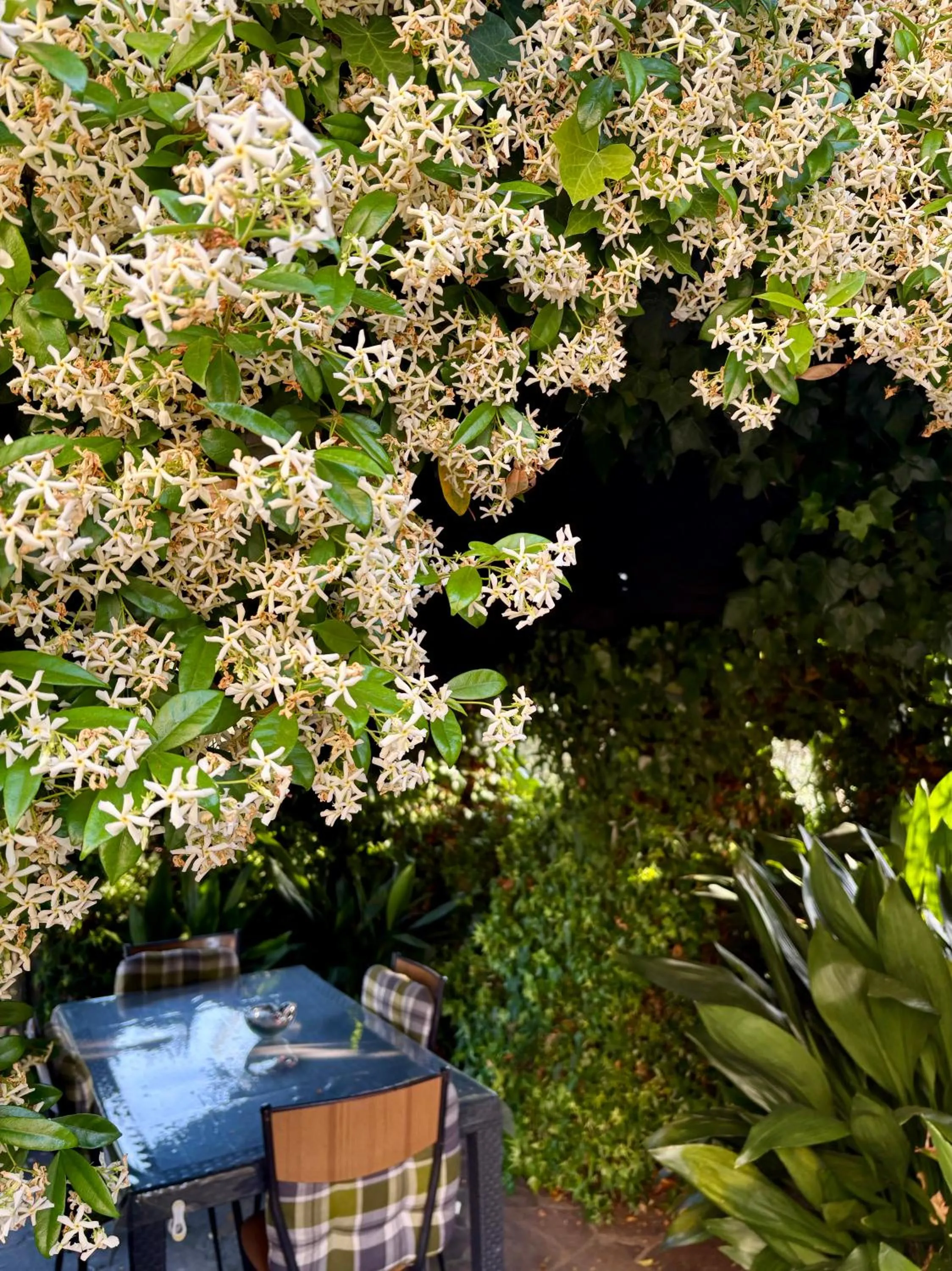 Garden in B&B Il Pozzo