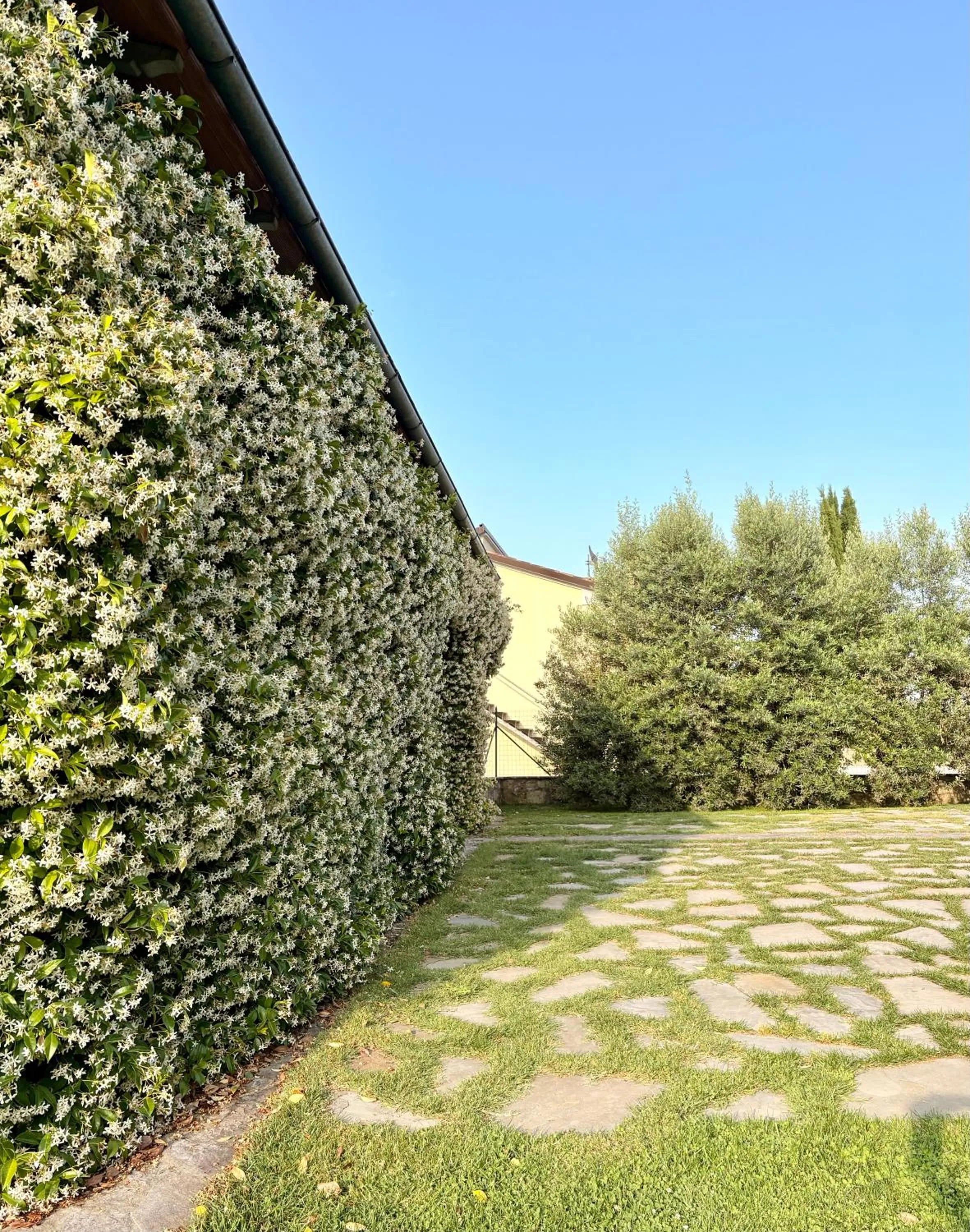 Garden in B&B Il Pozzo