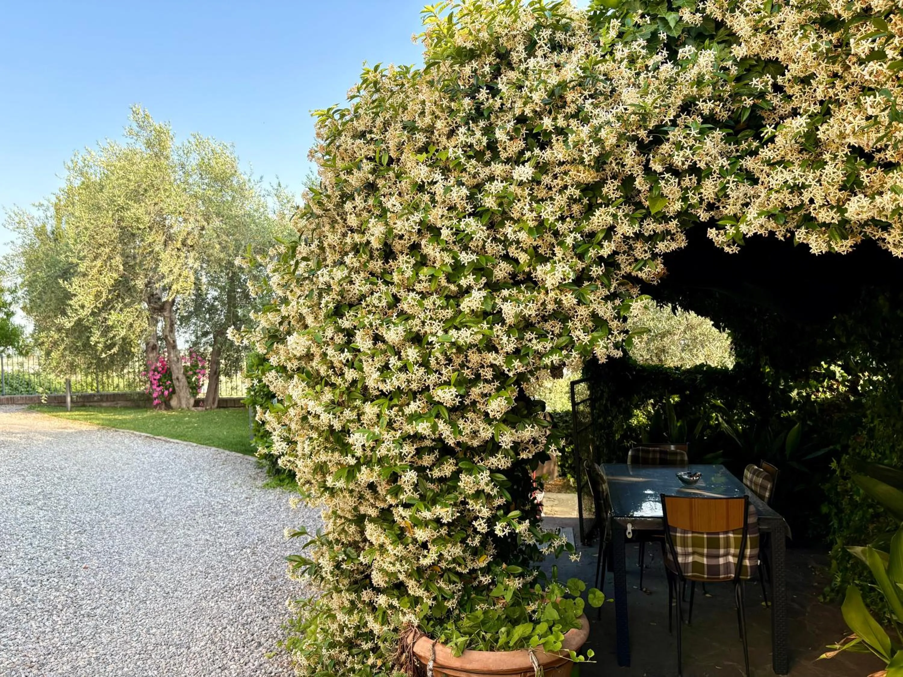 Garden in B&B Il Pozzo