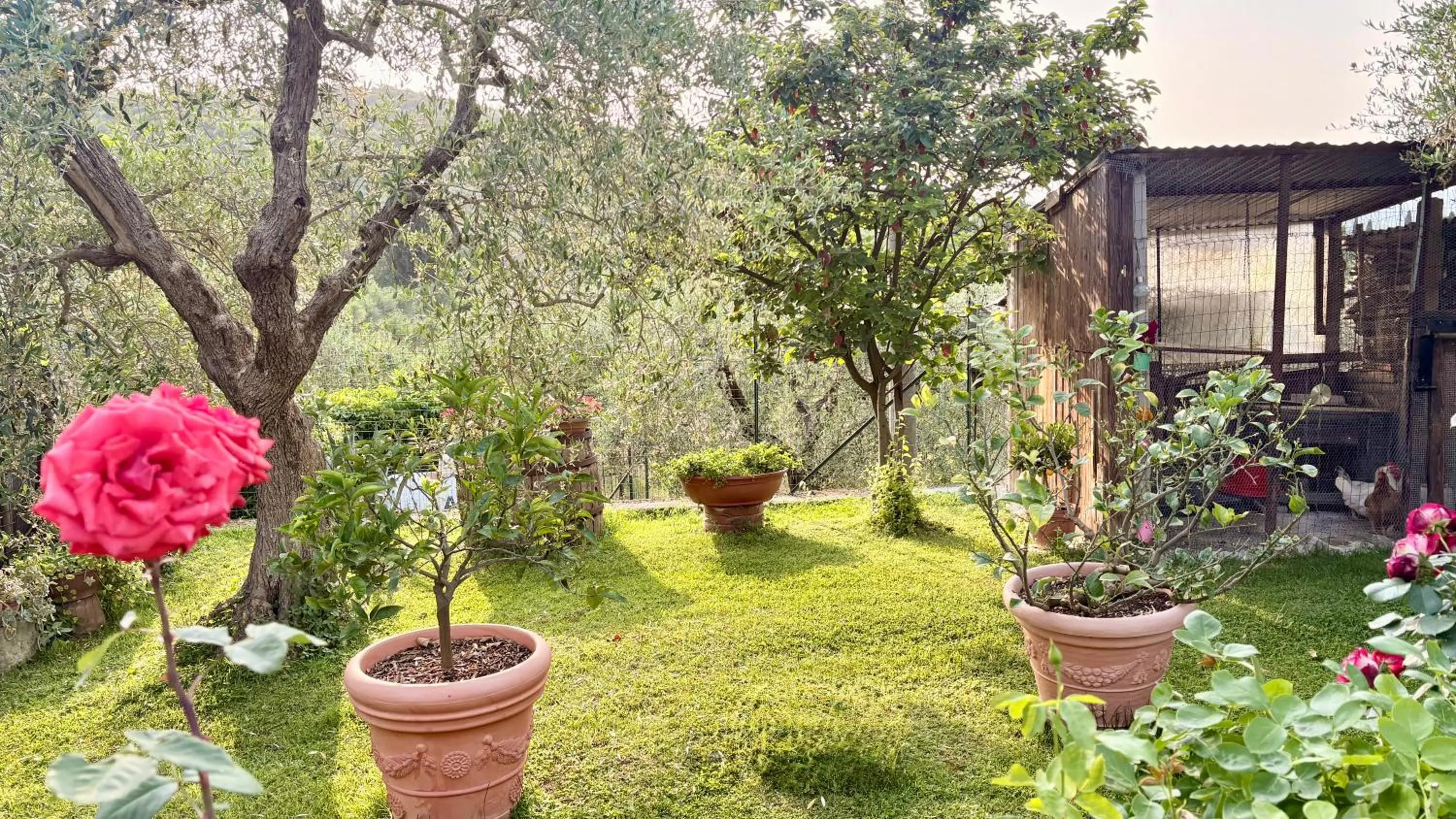 Garden in B&B Il Pozzo