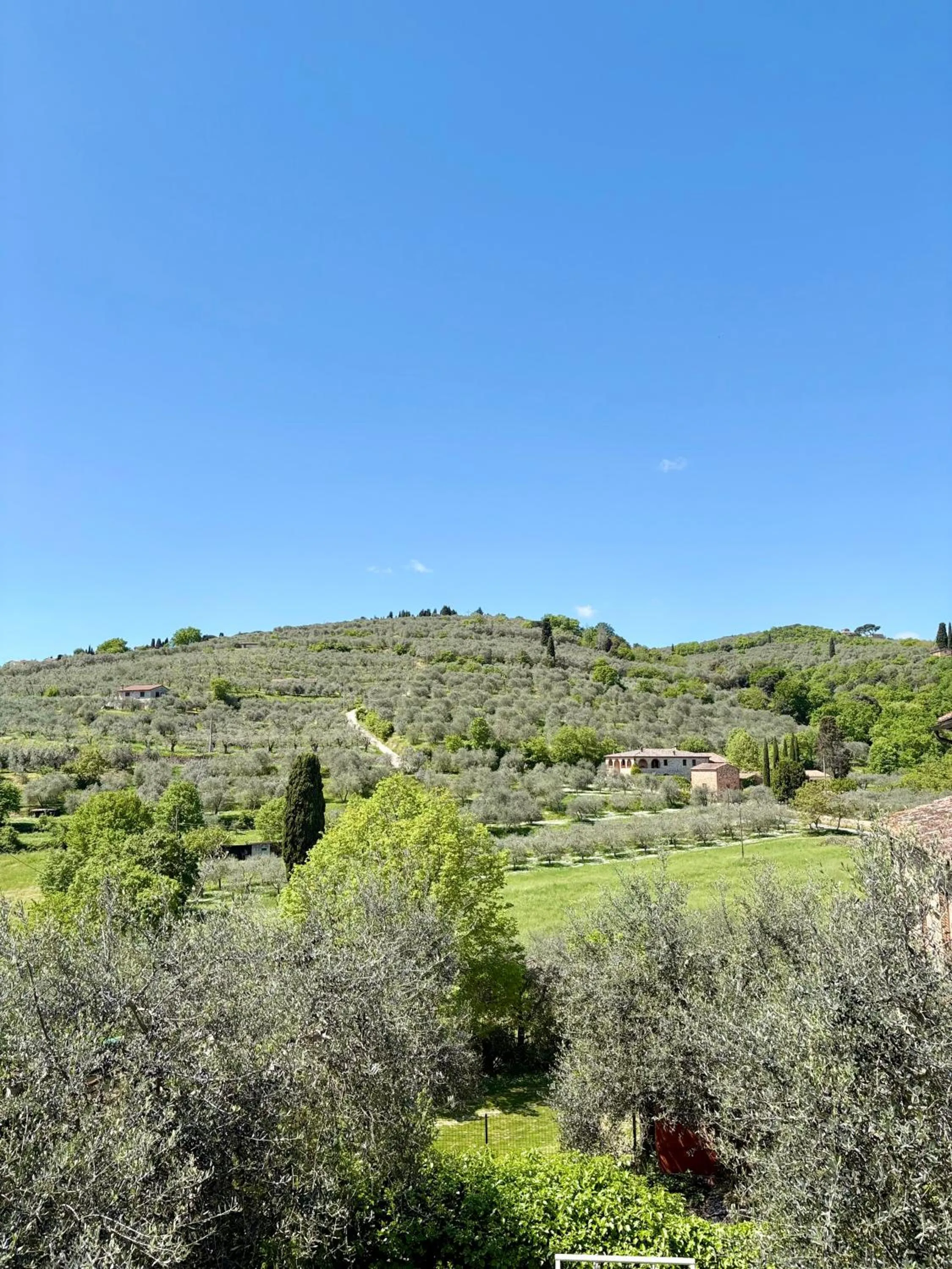 View (from property/room) in B&B Il Pozzo