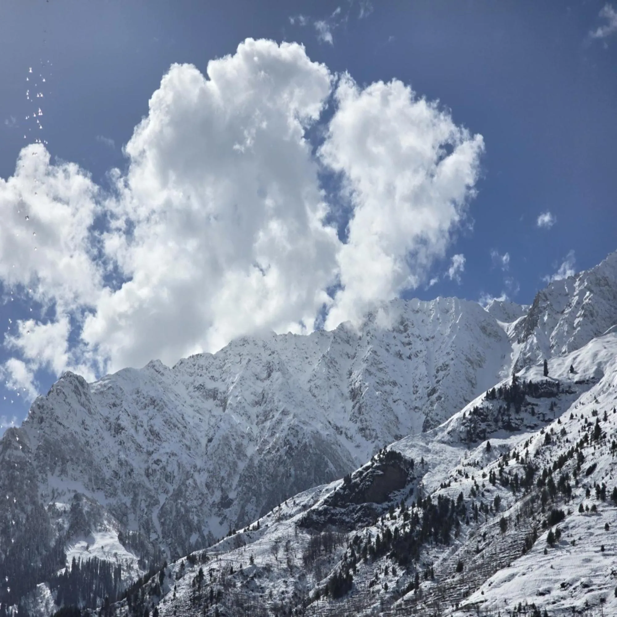 Day in MB Igloo Resort